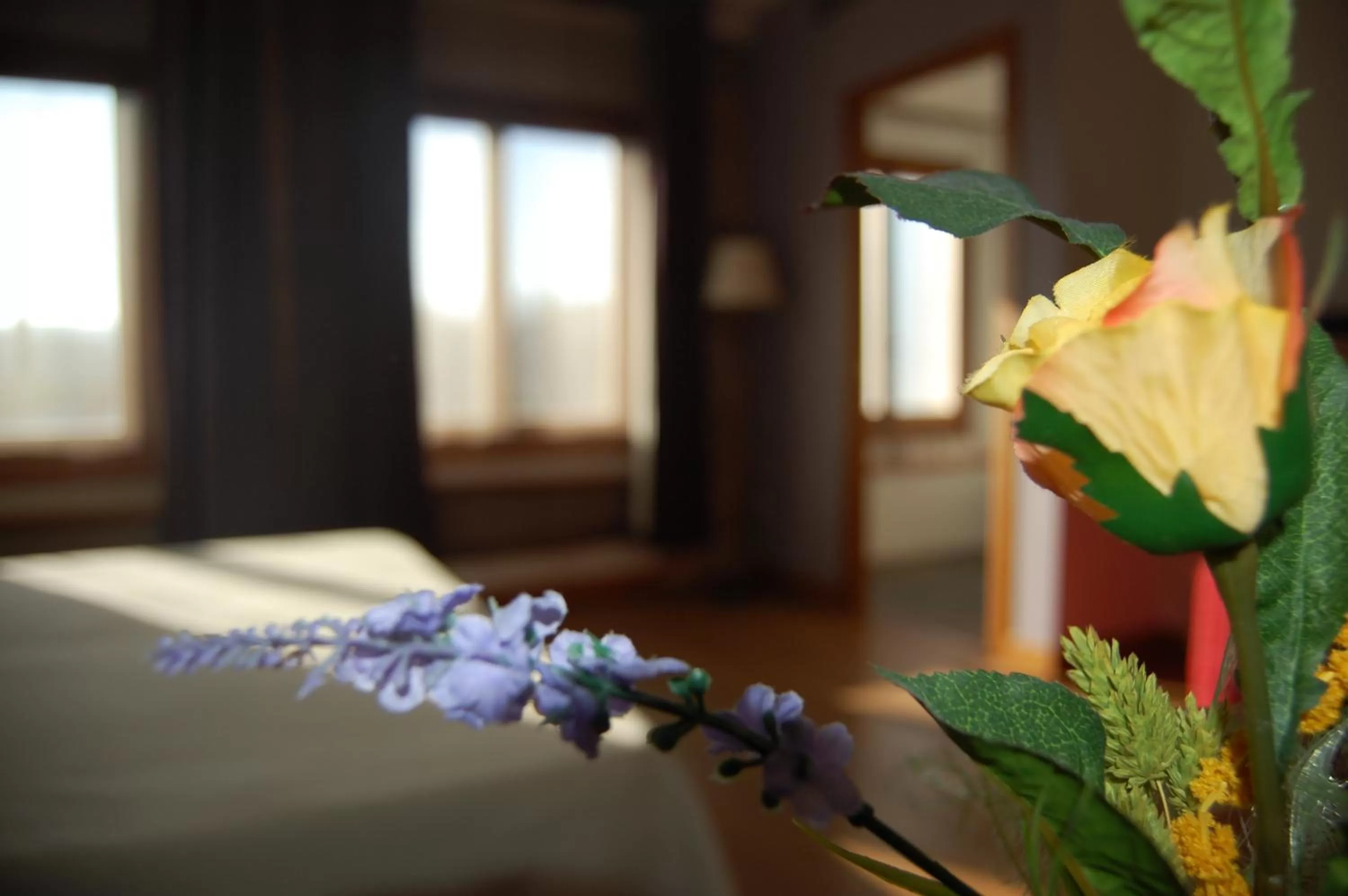 Decorative detail, Bed in Hotel Moli De La Torre