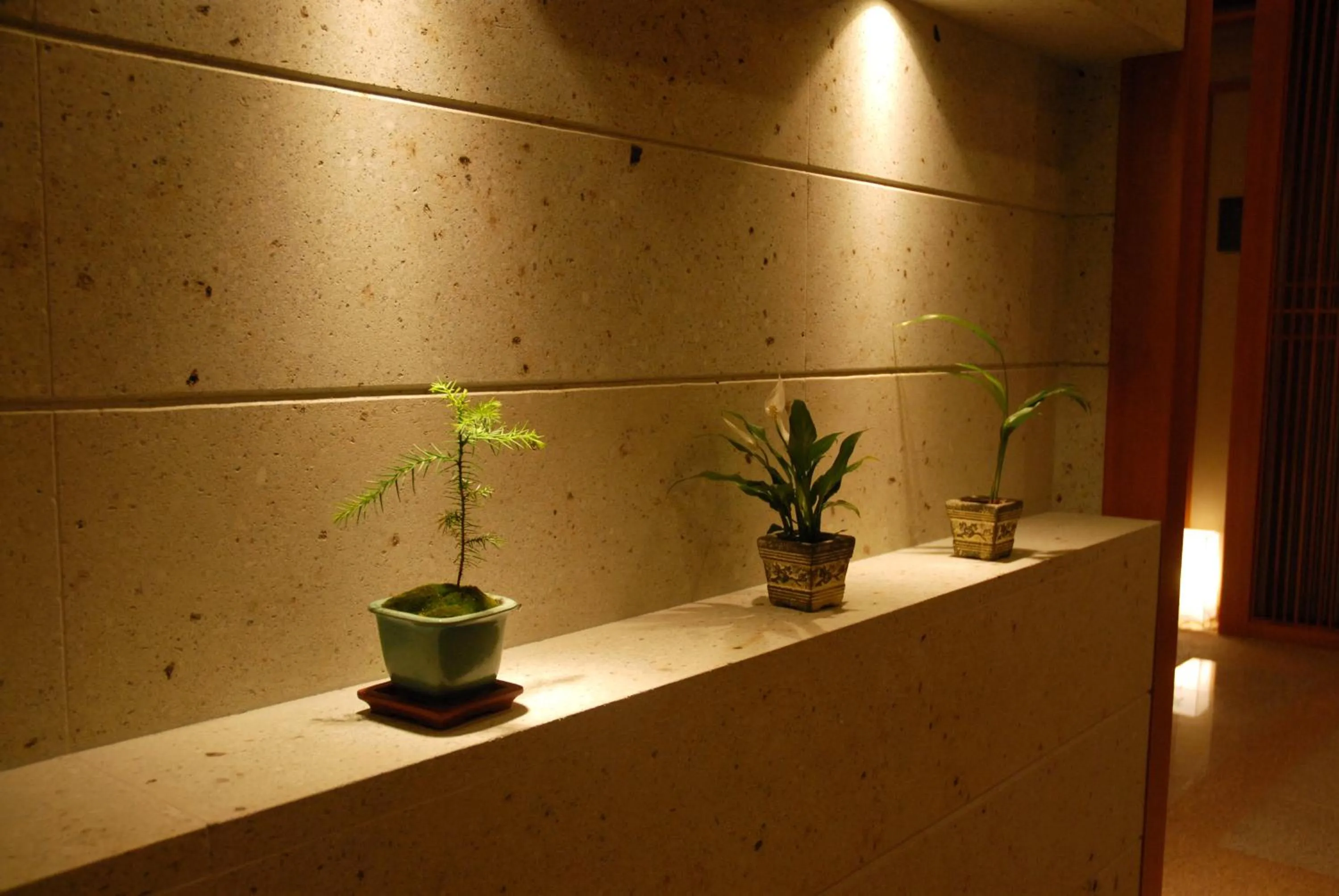 Other in Arima Onsen Taketoritei Maruyama