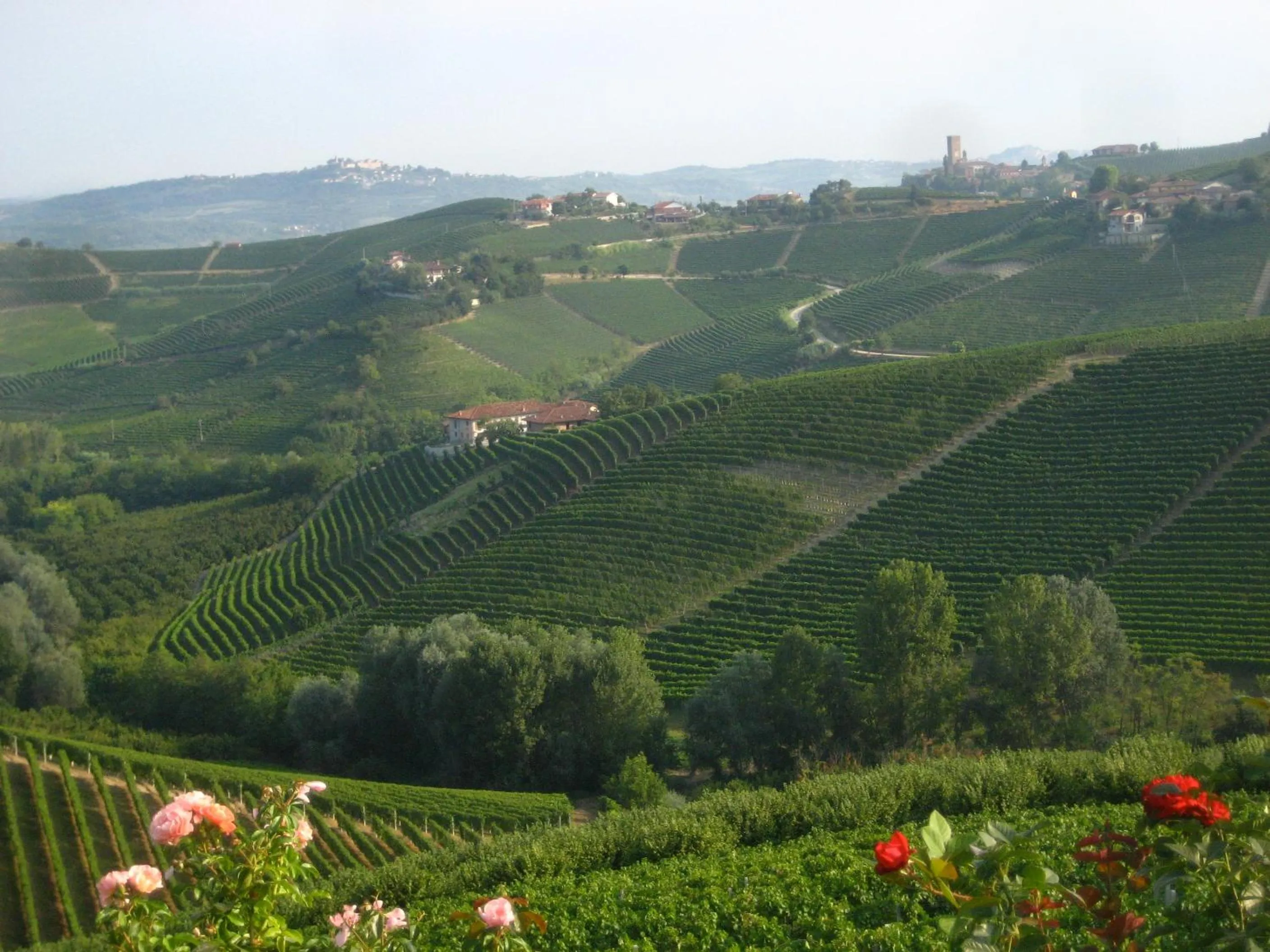 View (from property/room) in Hotel Villa Lauri
