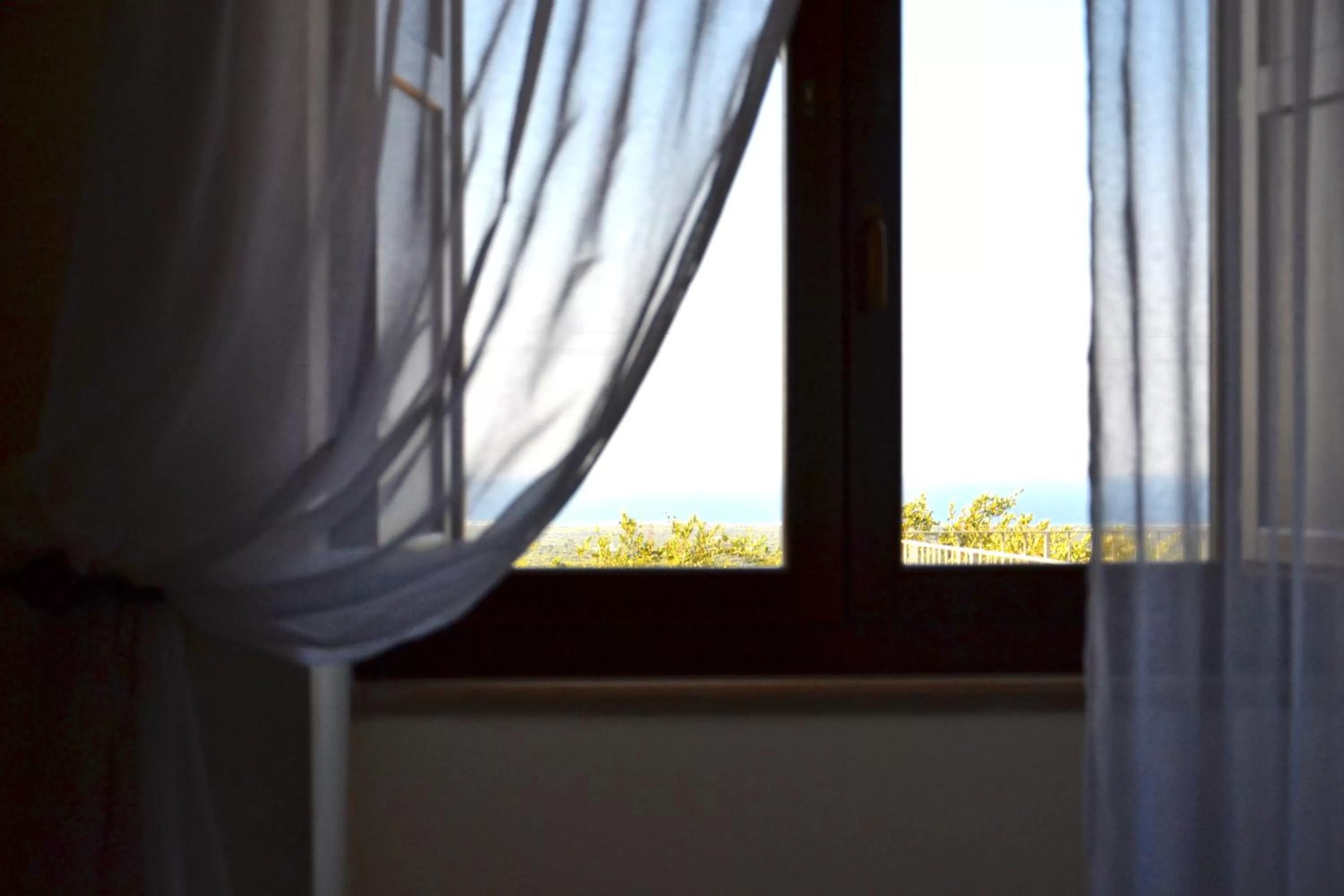 View (from property/room) in Relais Sant'Eligio