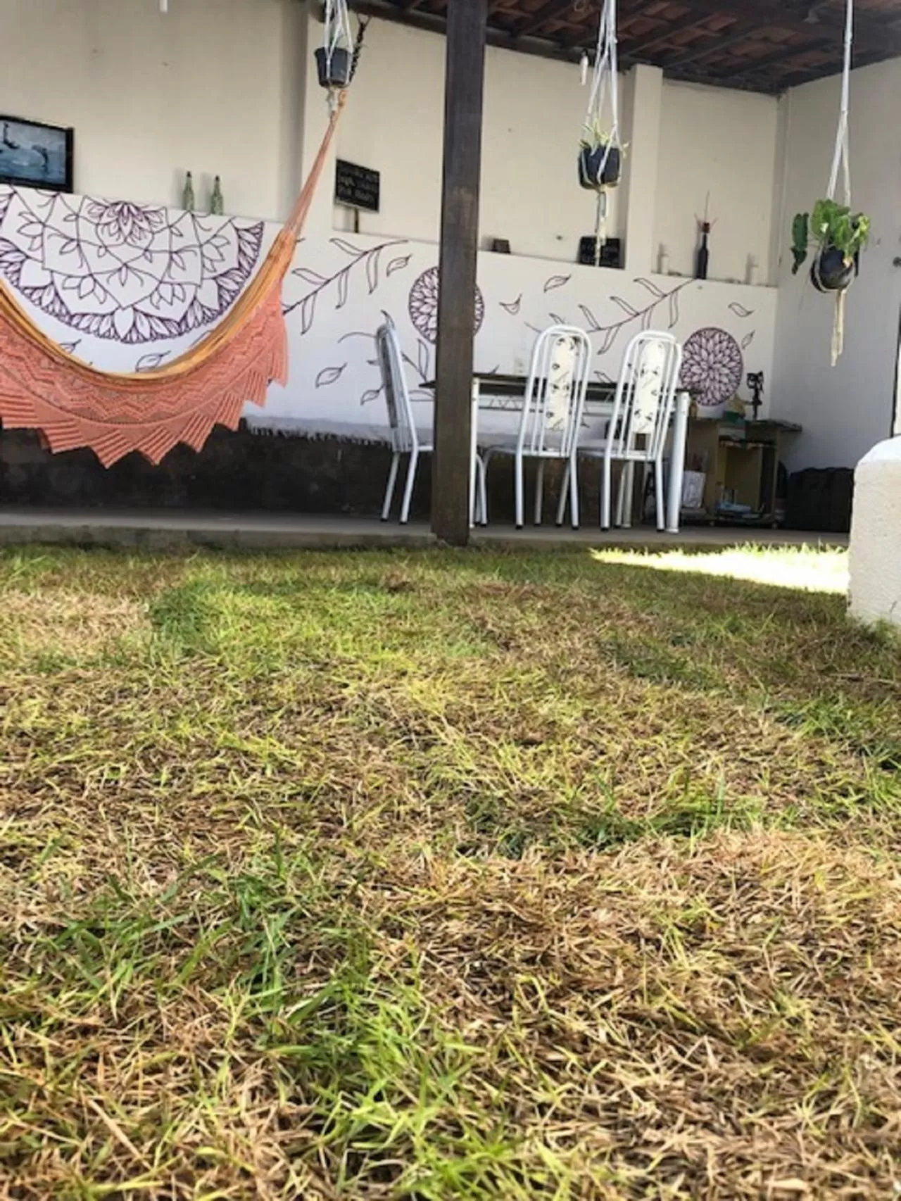 Garden in Hostel Das Canárias