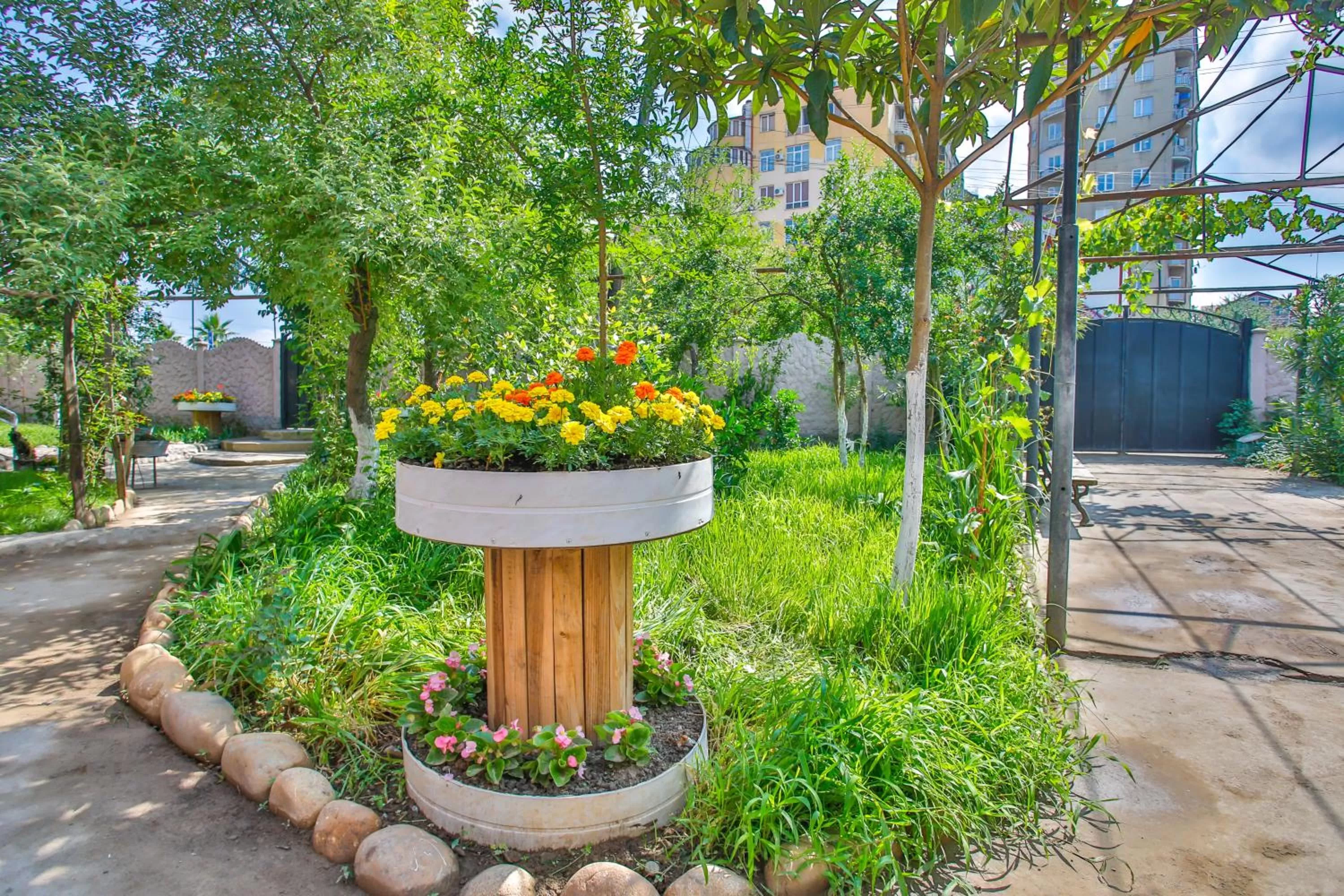 Patio, Garden in Book Hotel