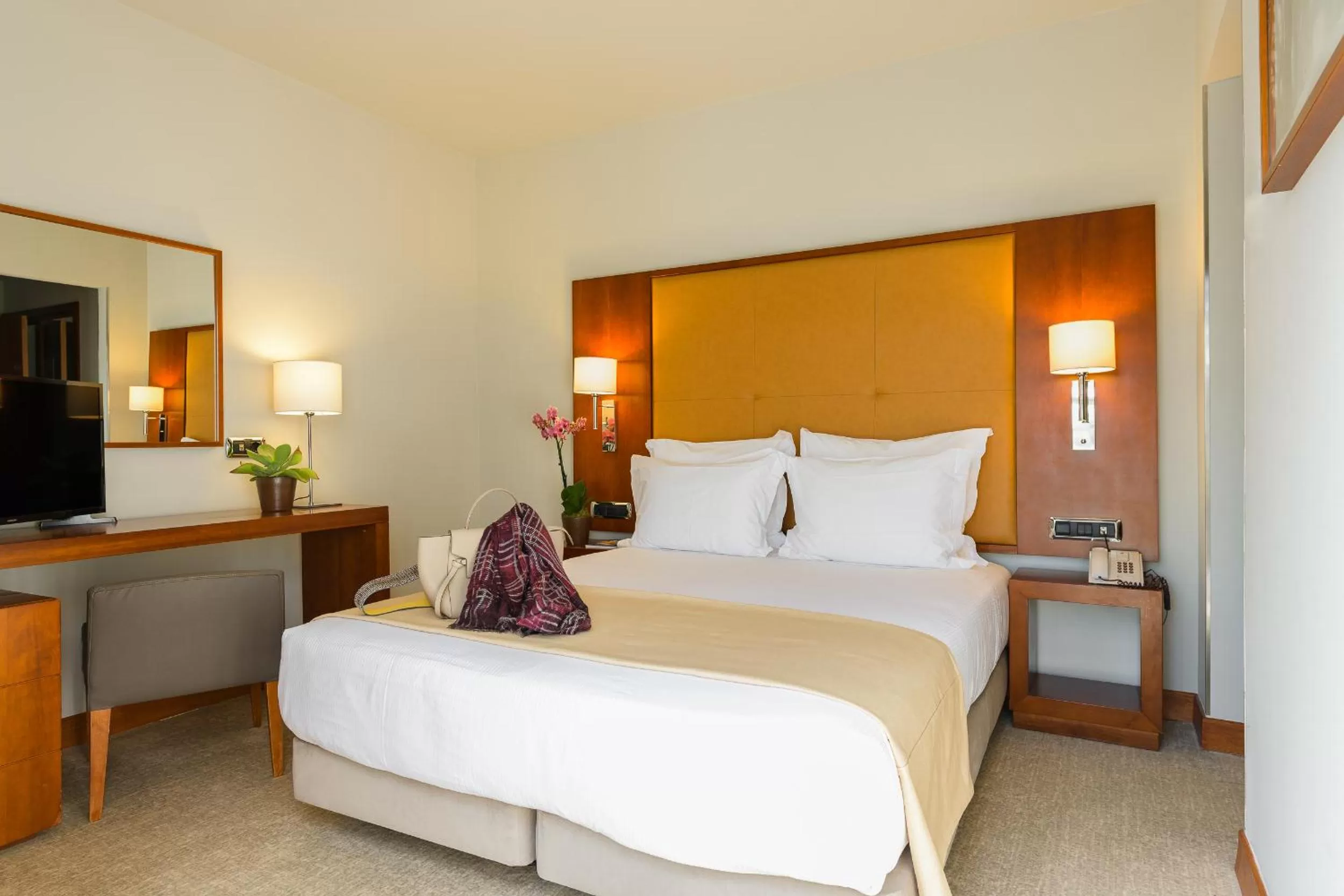Double or Twin Room in Hotel Dom Carlos Liberty