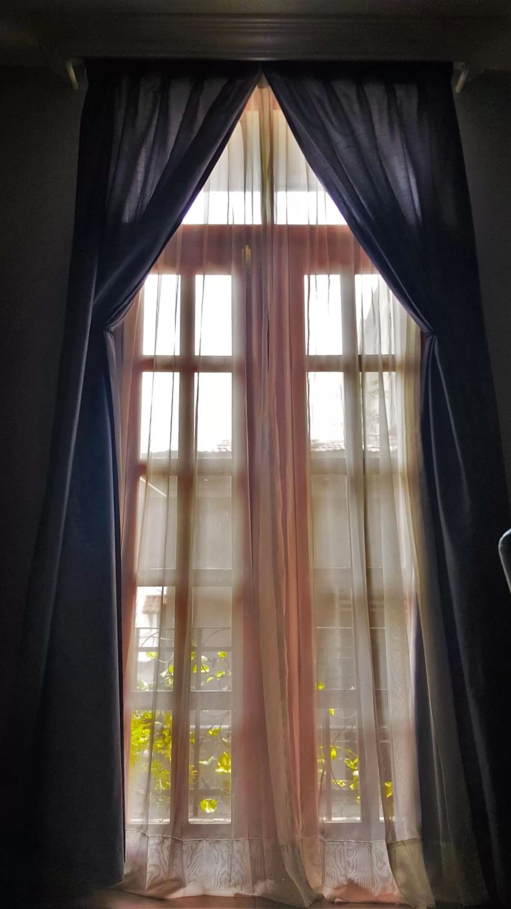 Day in La Isabela Suites