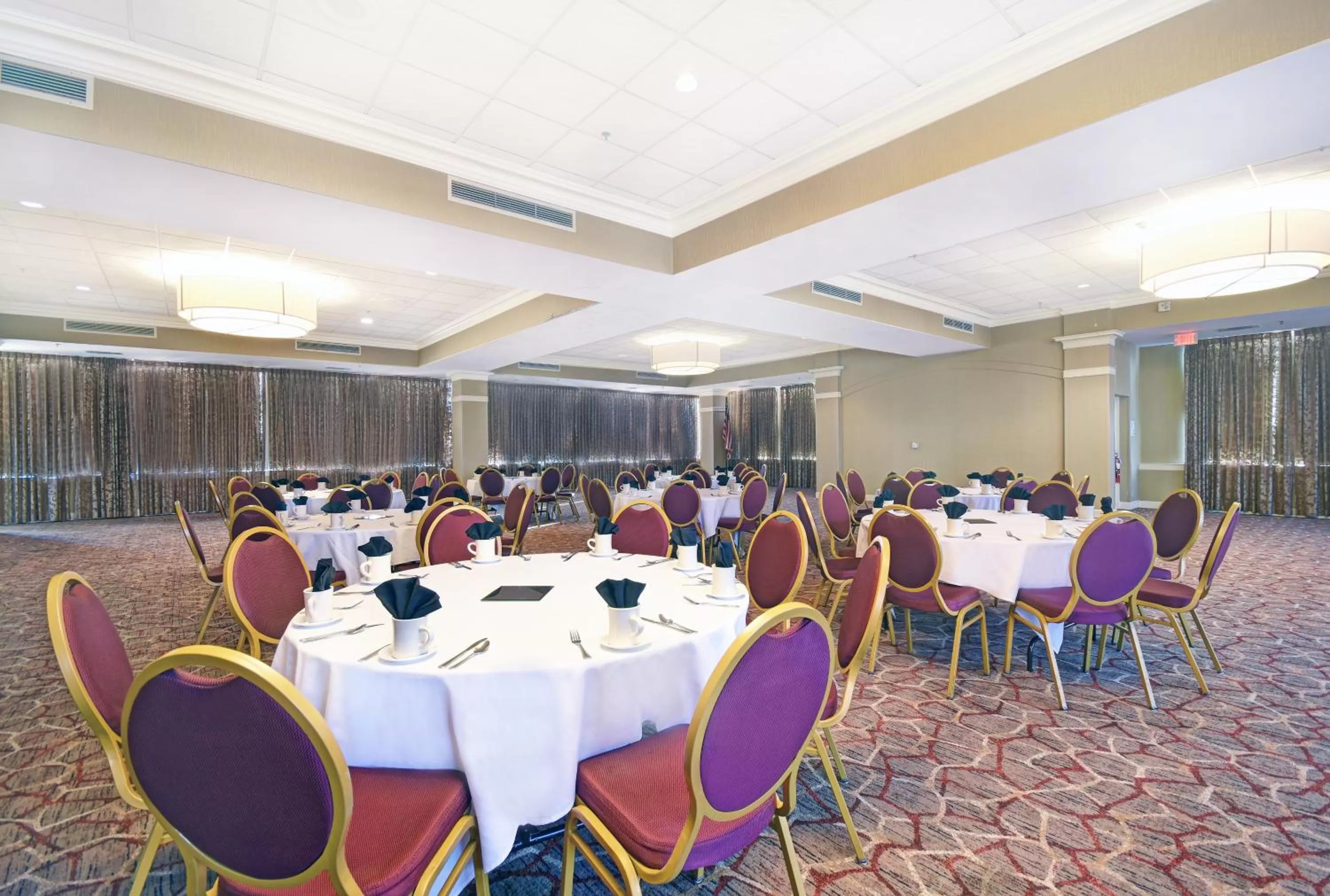 Banquet/Function facilities in Holiday Inn - Memphis Downtown - Beale St. by IHG
