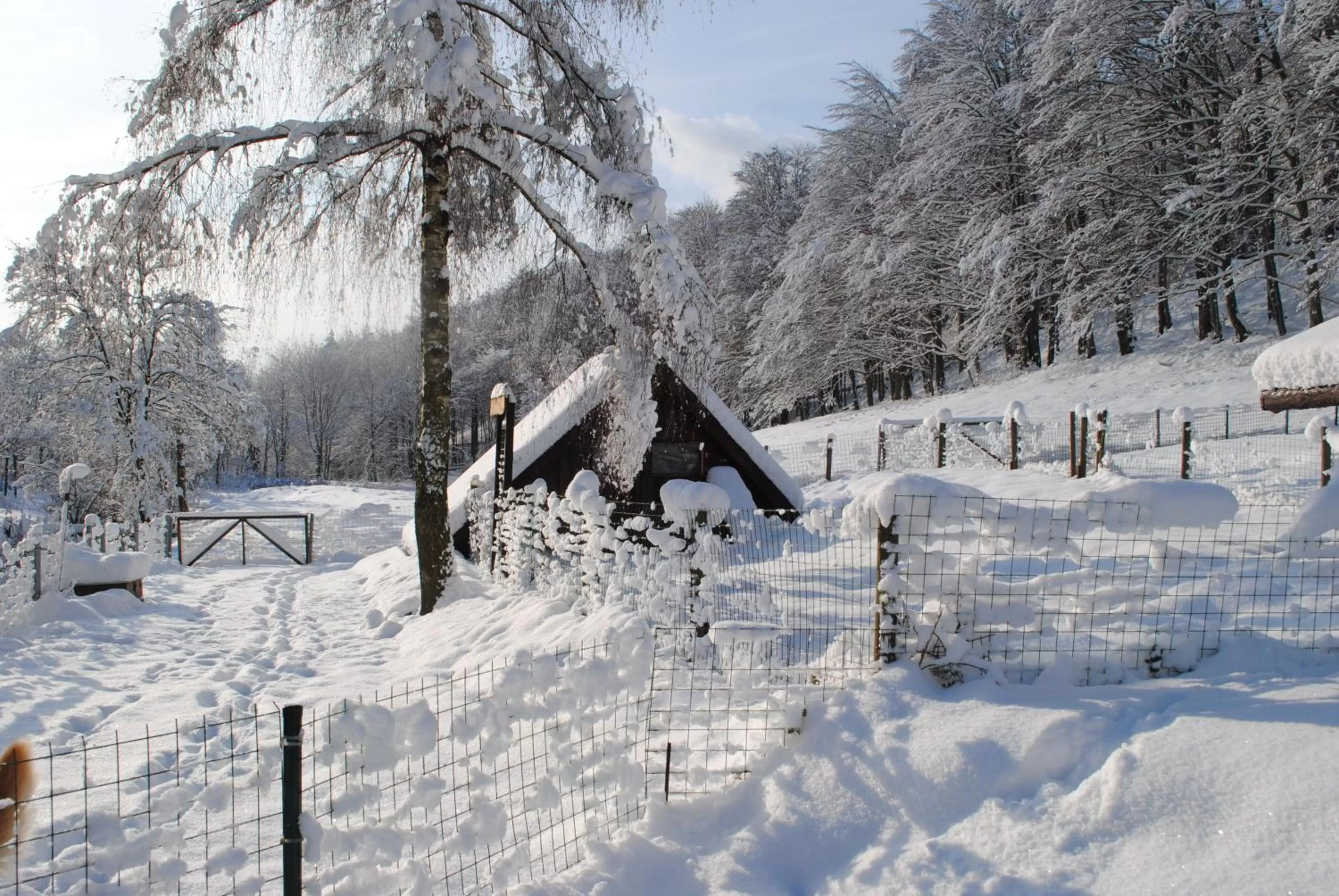 Skiing in Hotel Waldmühle