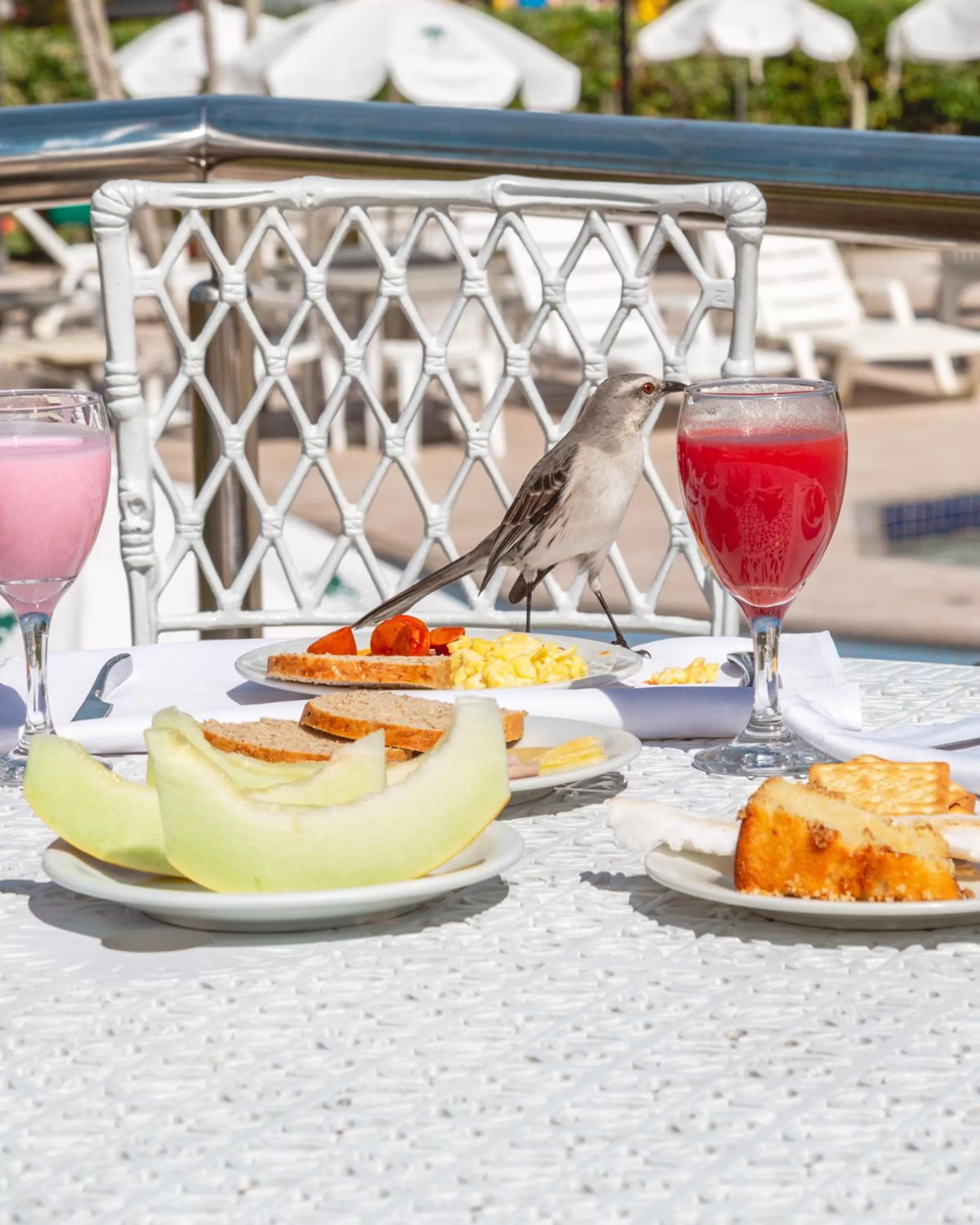 Breakfast in Bosque do Porto Praia Hotel