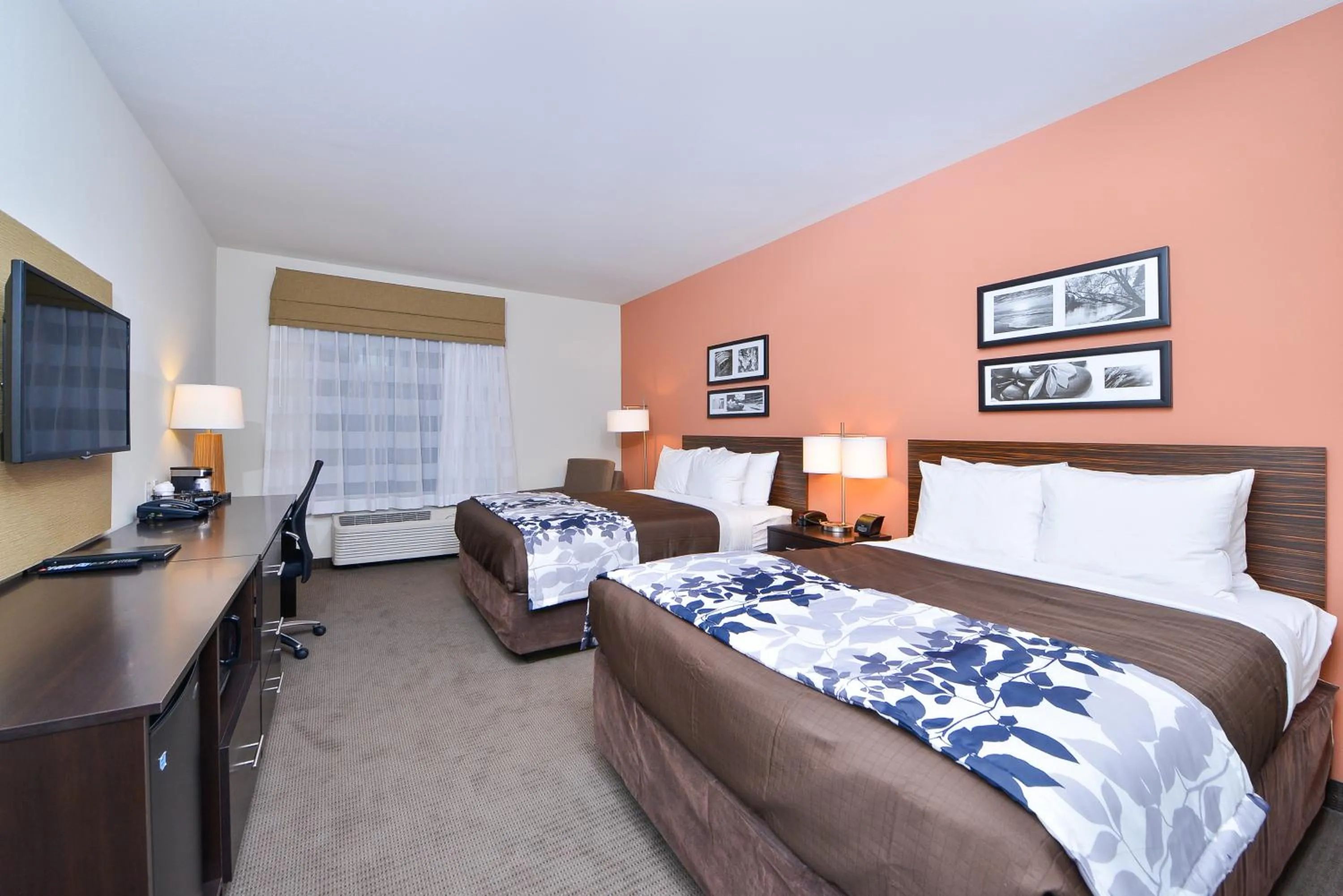 Photo of the whole room, Bed in Sleep Inn & Suites Austin – Tech Center