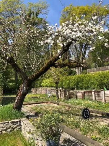 Garden in La Maison des Copains