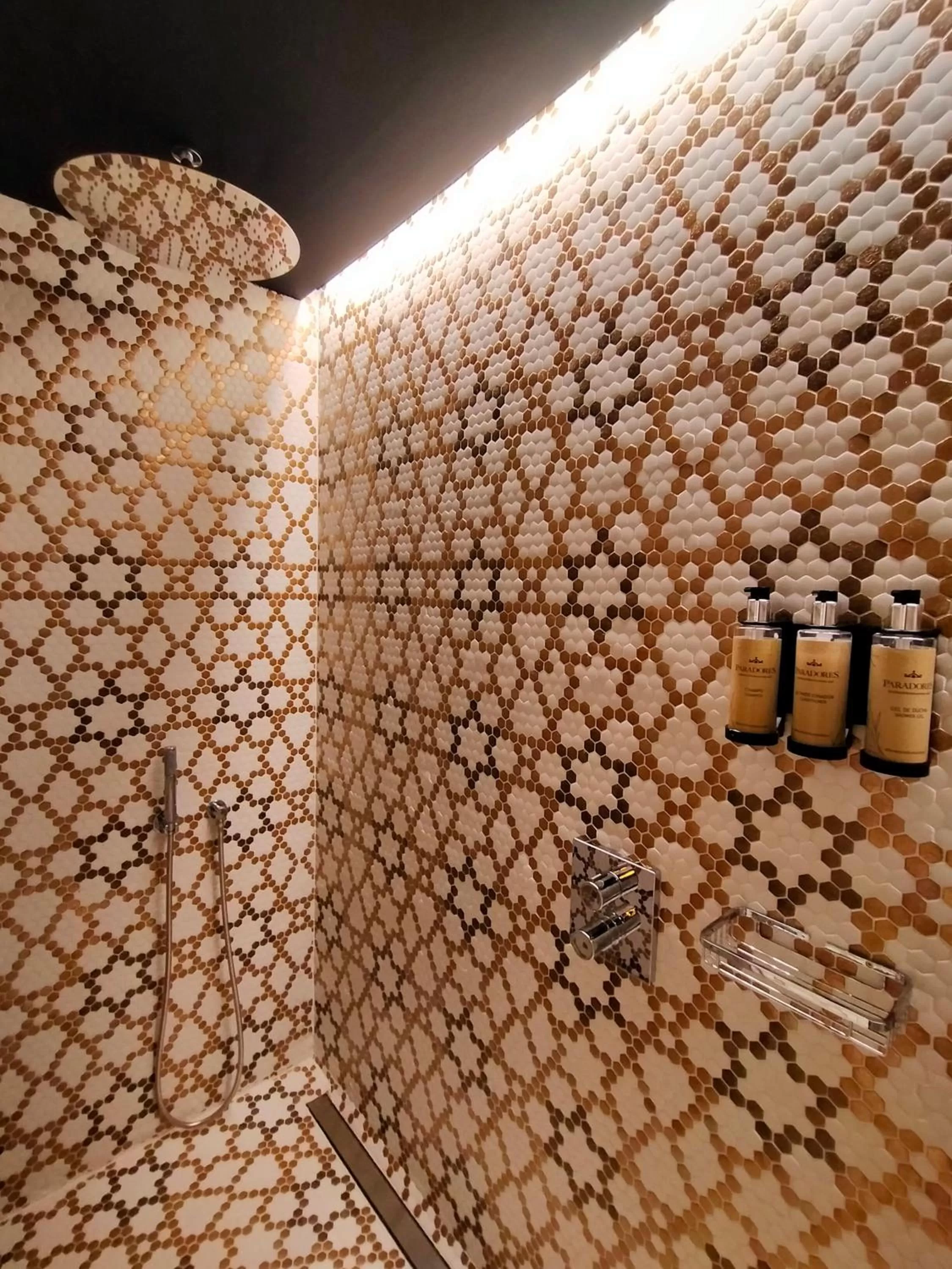 Bathroom in Parador de Benavente