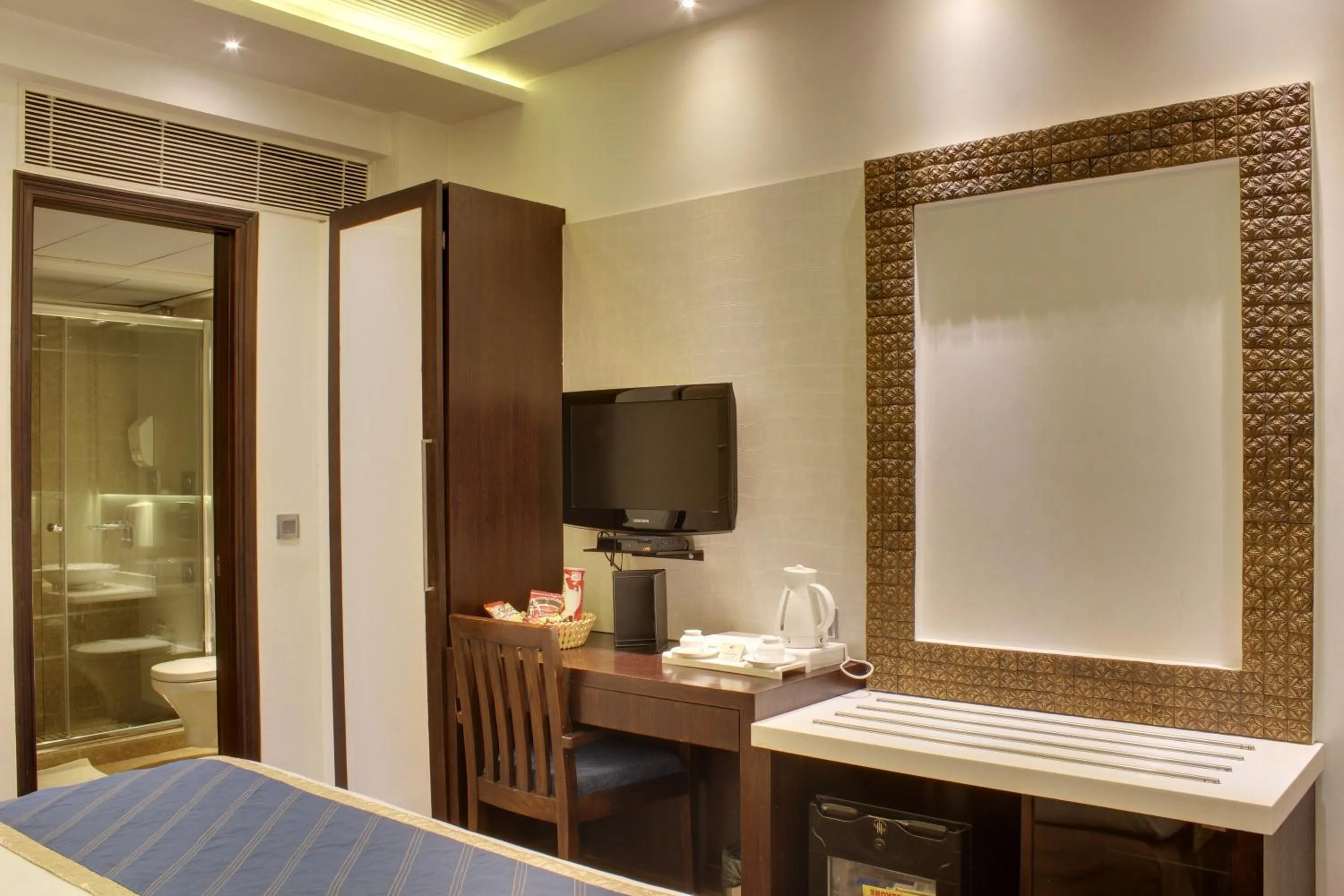 TV and multimedia in Hotel Grand Godwin - Near New Delhi Railway Station - Paharganj