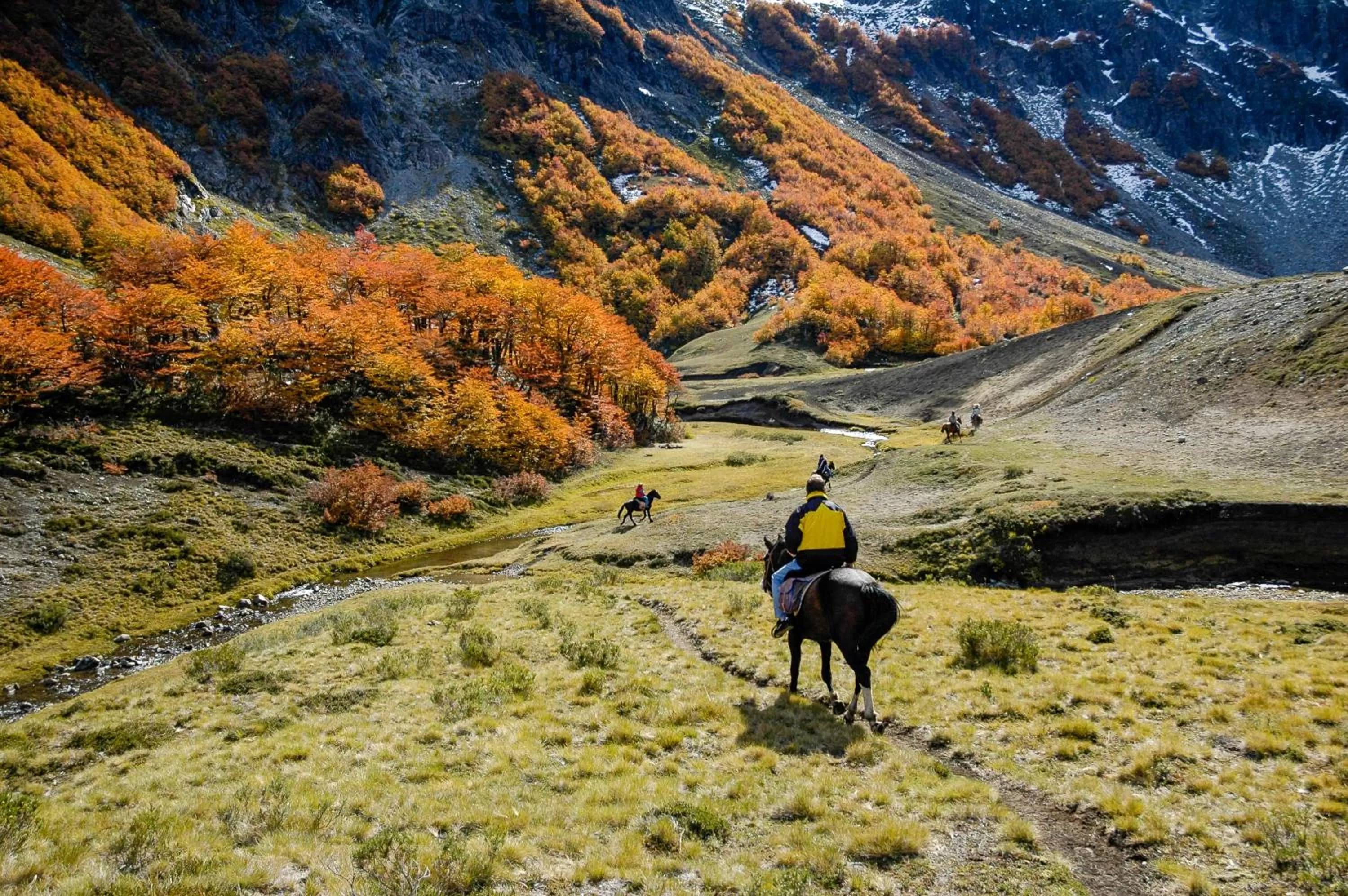 Horse-riding in Correntoso Lake & River Hotel