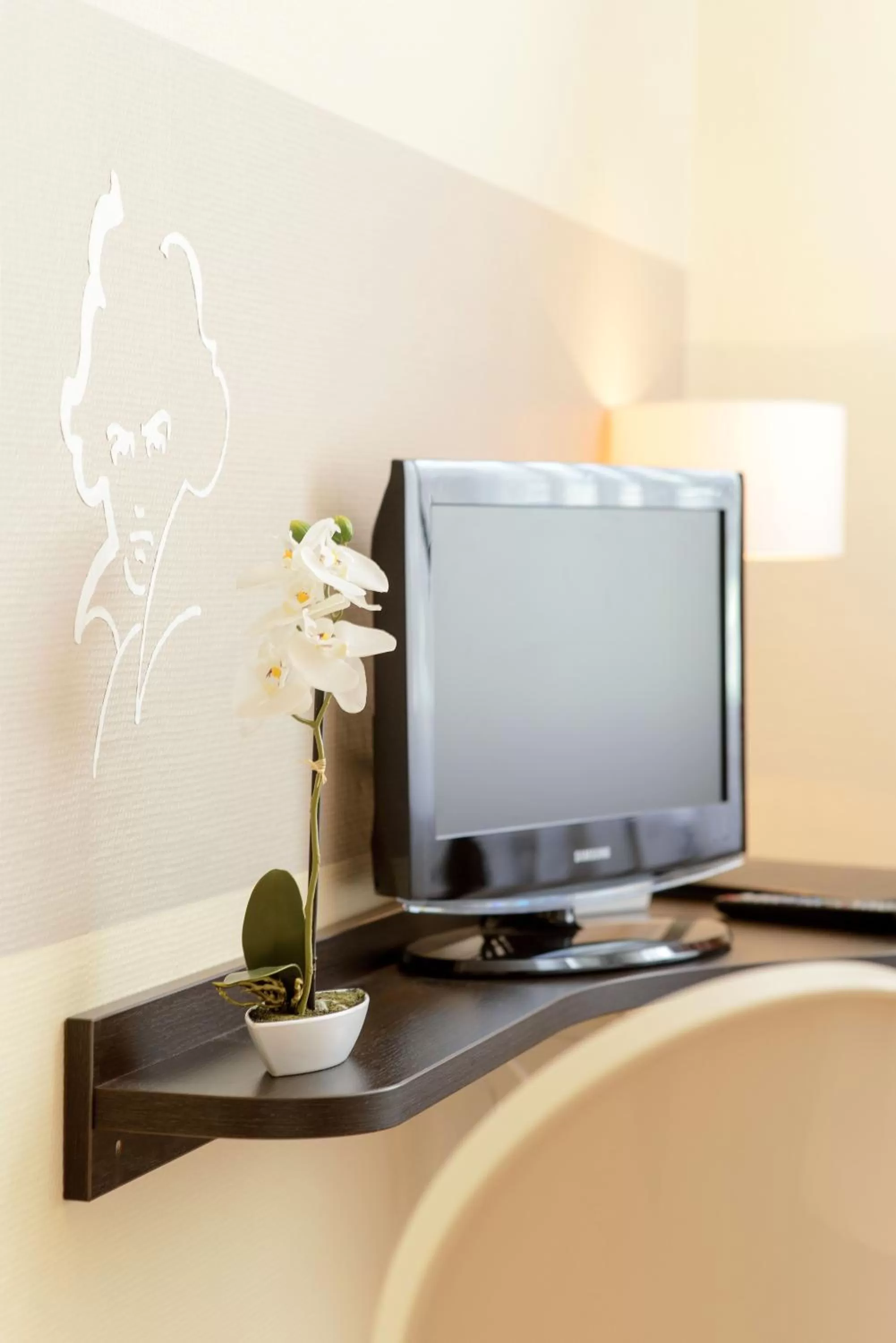 TV and multimedia in Hotel Europa