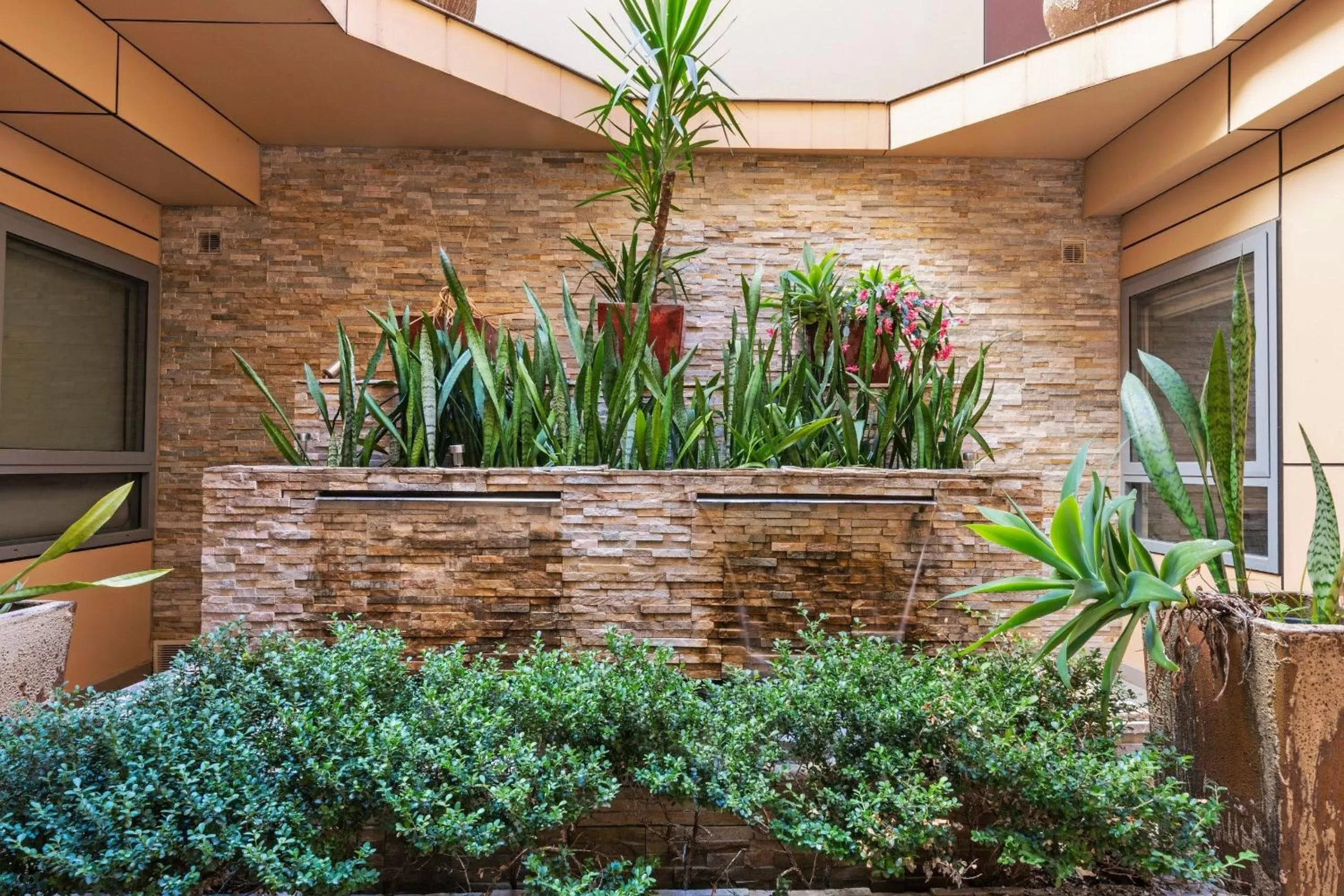 Patio in Best Western Plus Camperdown Suites