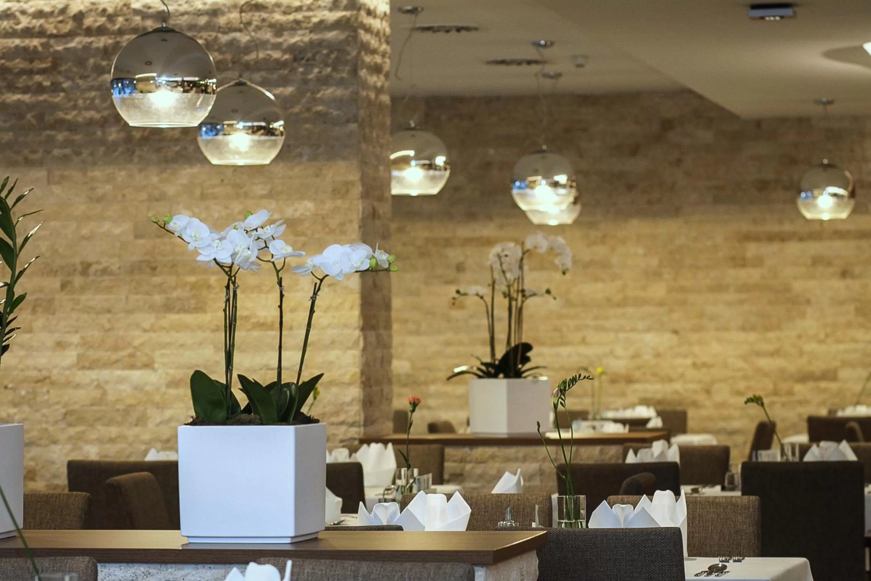 Restaurant/places to eat in Ensana Esplanade