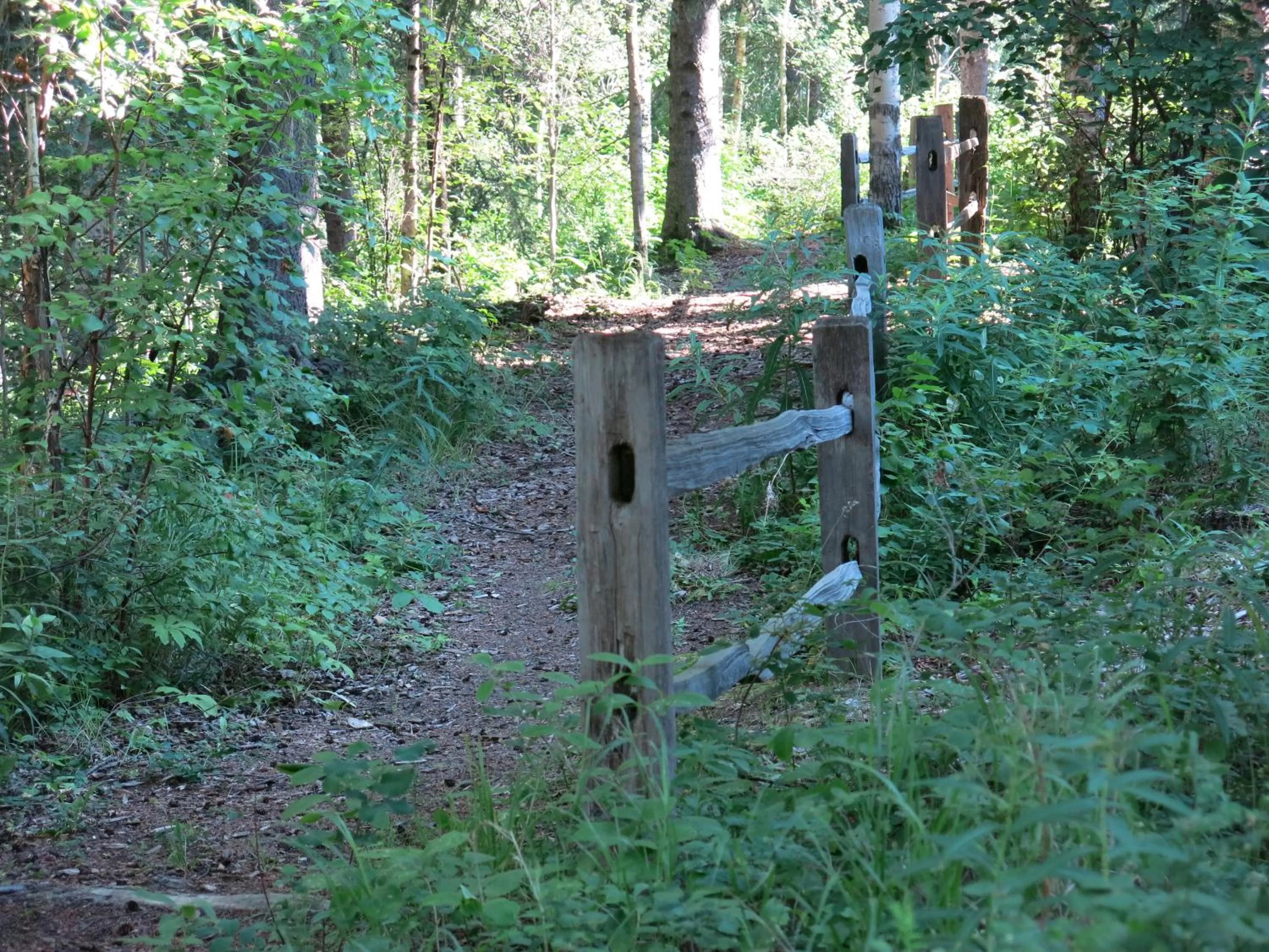 Natural landscape in Village Creek Country Inn
