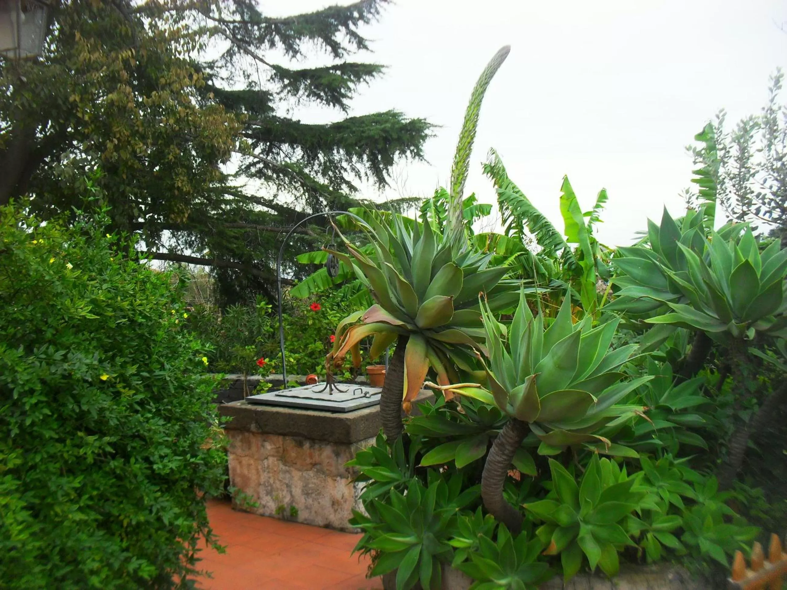 Balcony/Terrace in B&B Villa Lidia