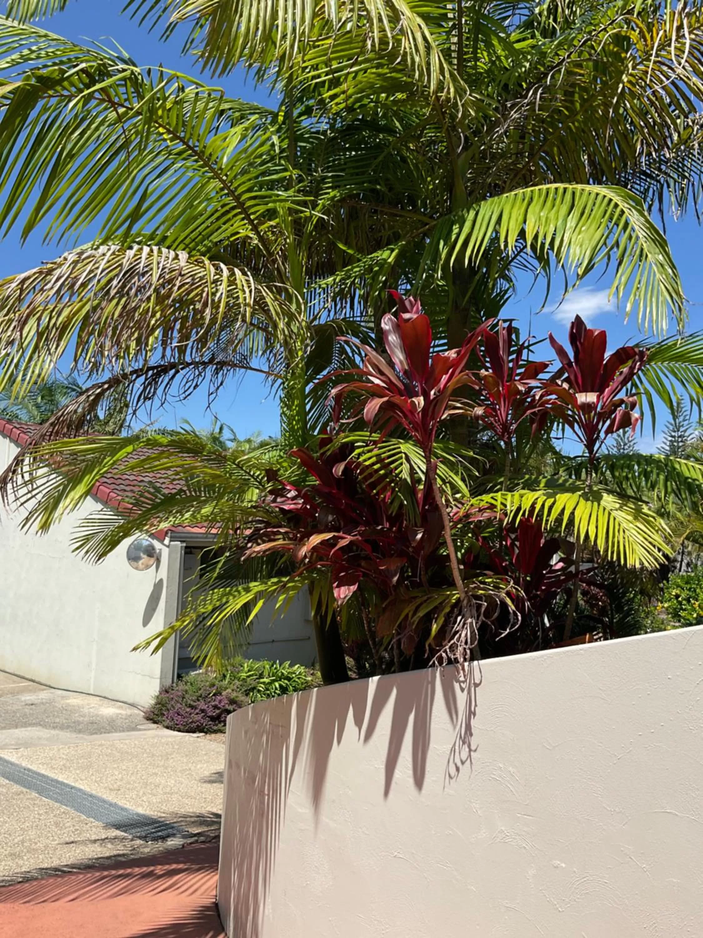 Beach in Private Suite Nautilus Beach Front Resort