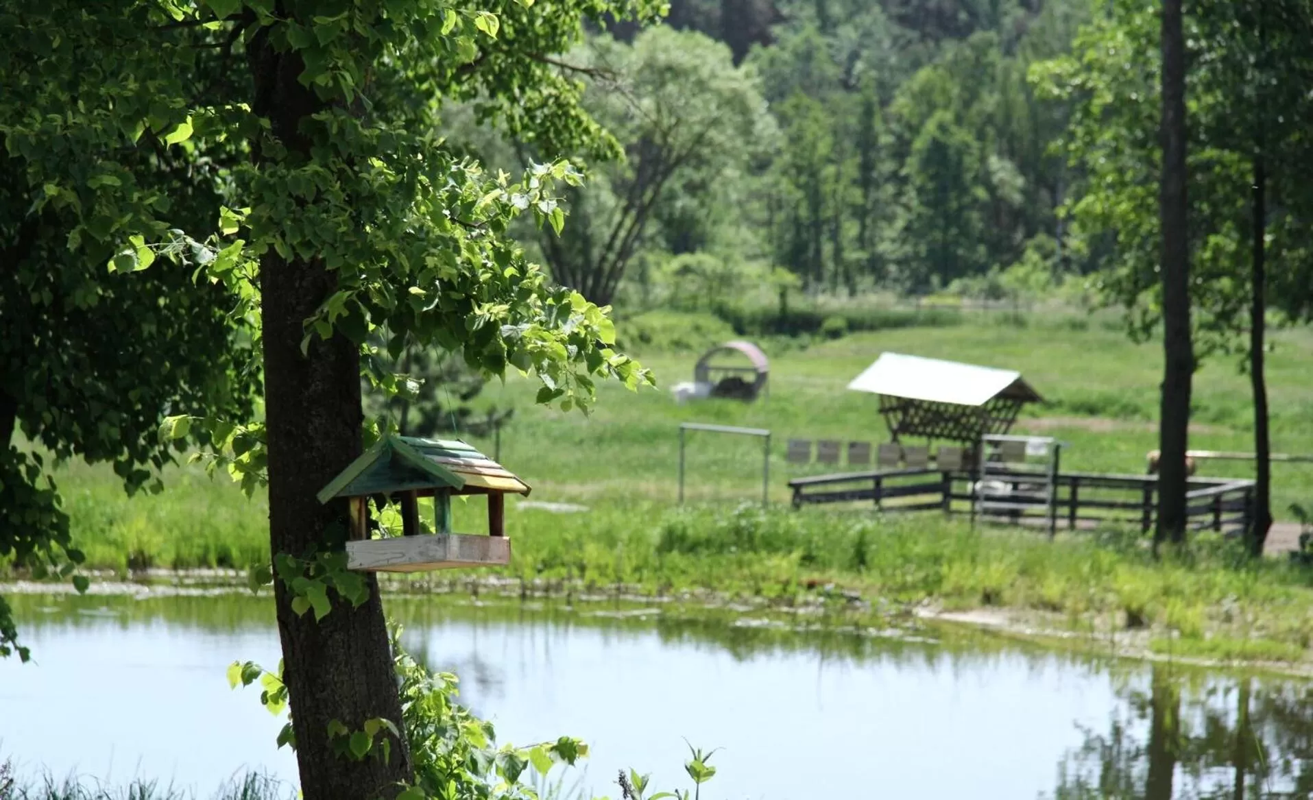 Windsurfing in Folwark Łochów