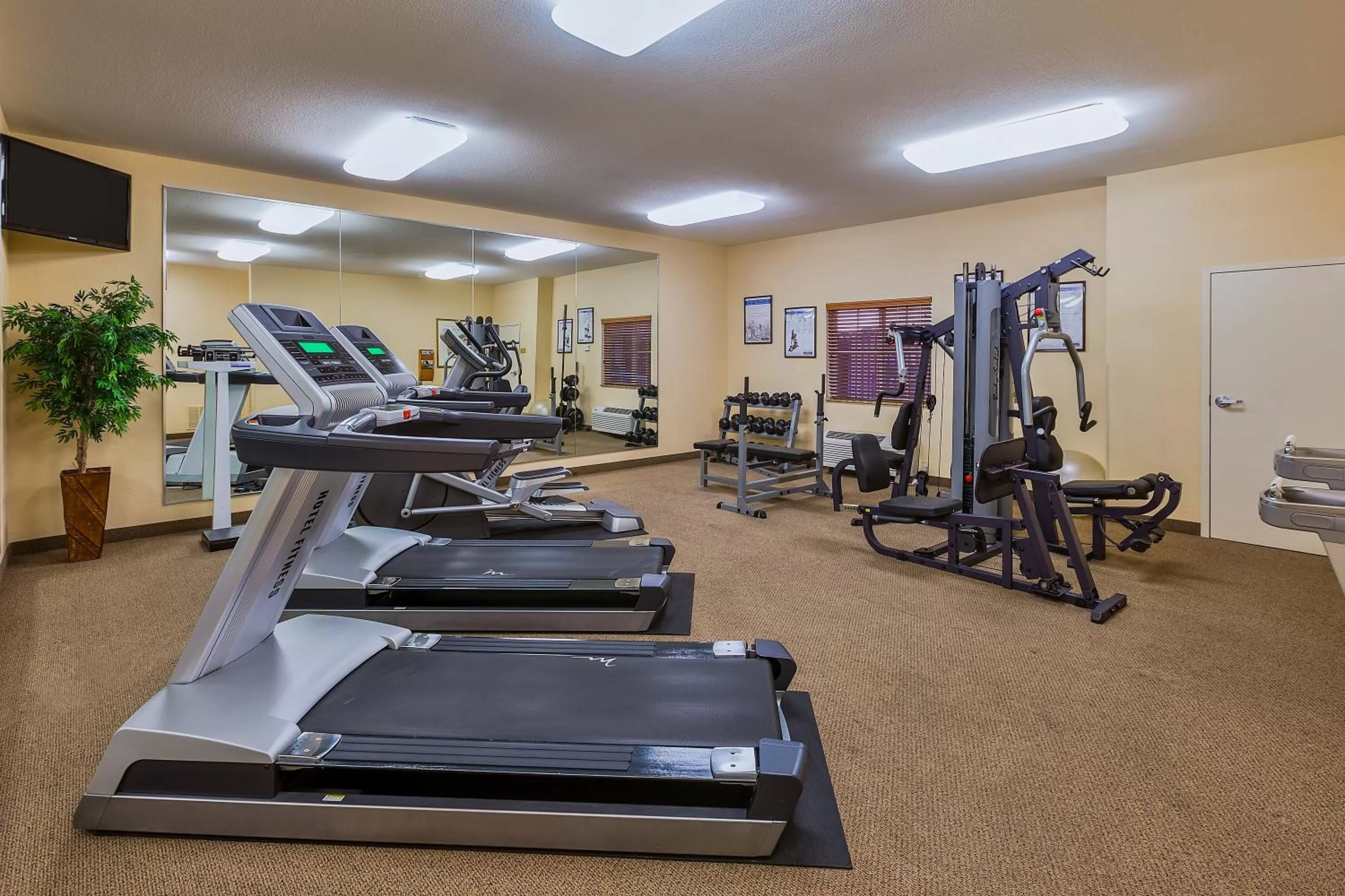 Fitness centre/facilities in Candlewood Suites Decatur Medical Center by IHG