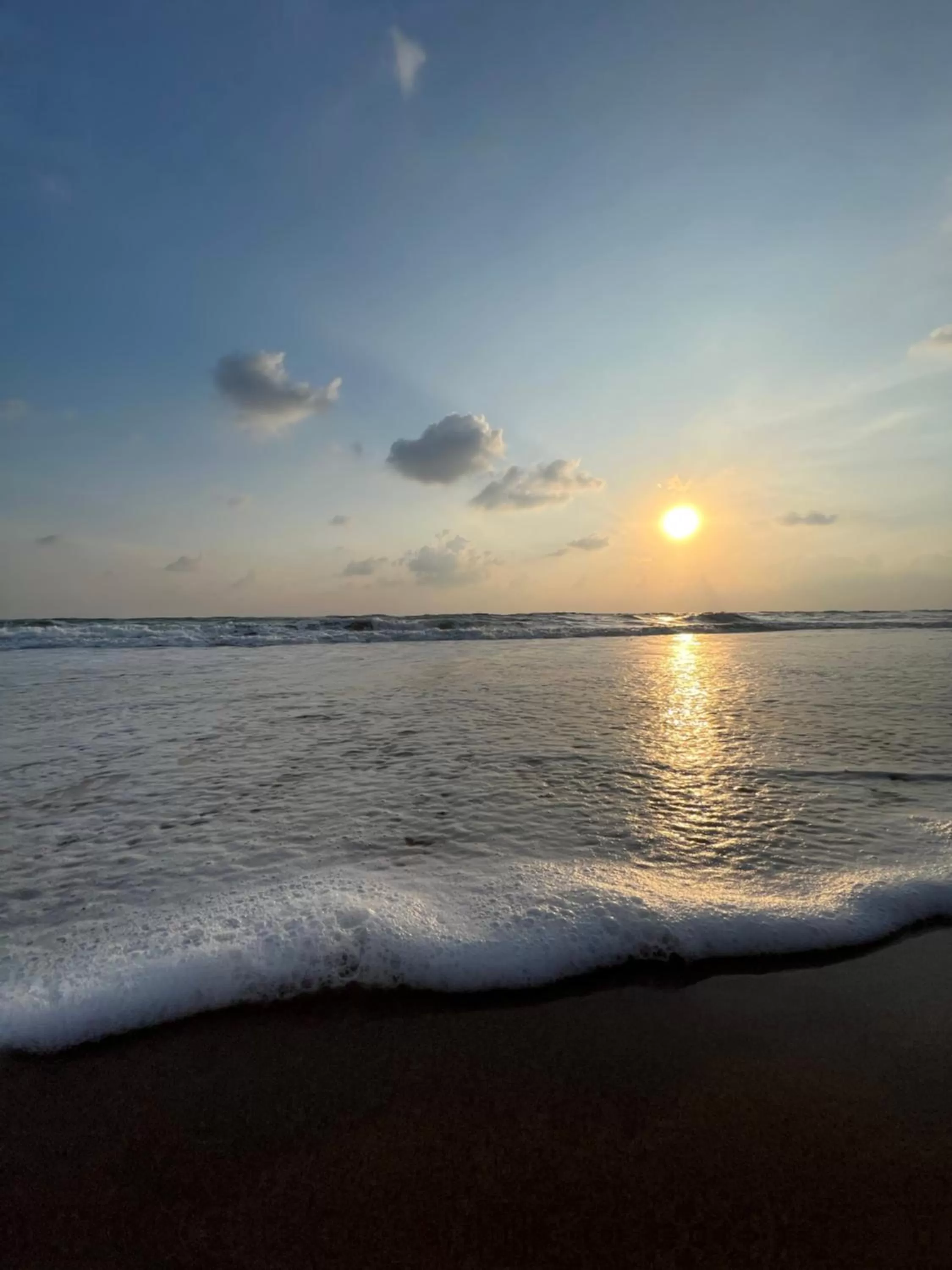 Natural landscape, Beach in 108 Palms Beach Resort