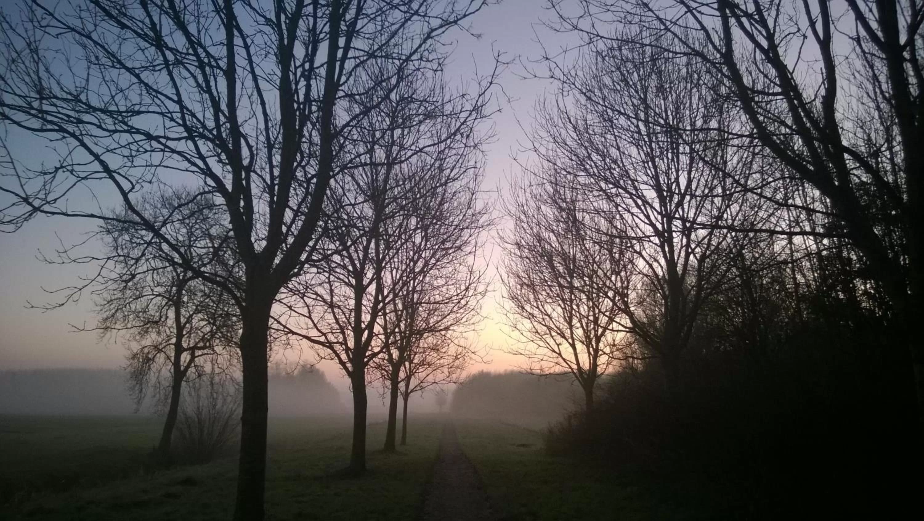 Natural landscape in Bed & Breakfast Boszicht Leeuwarden