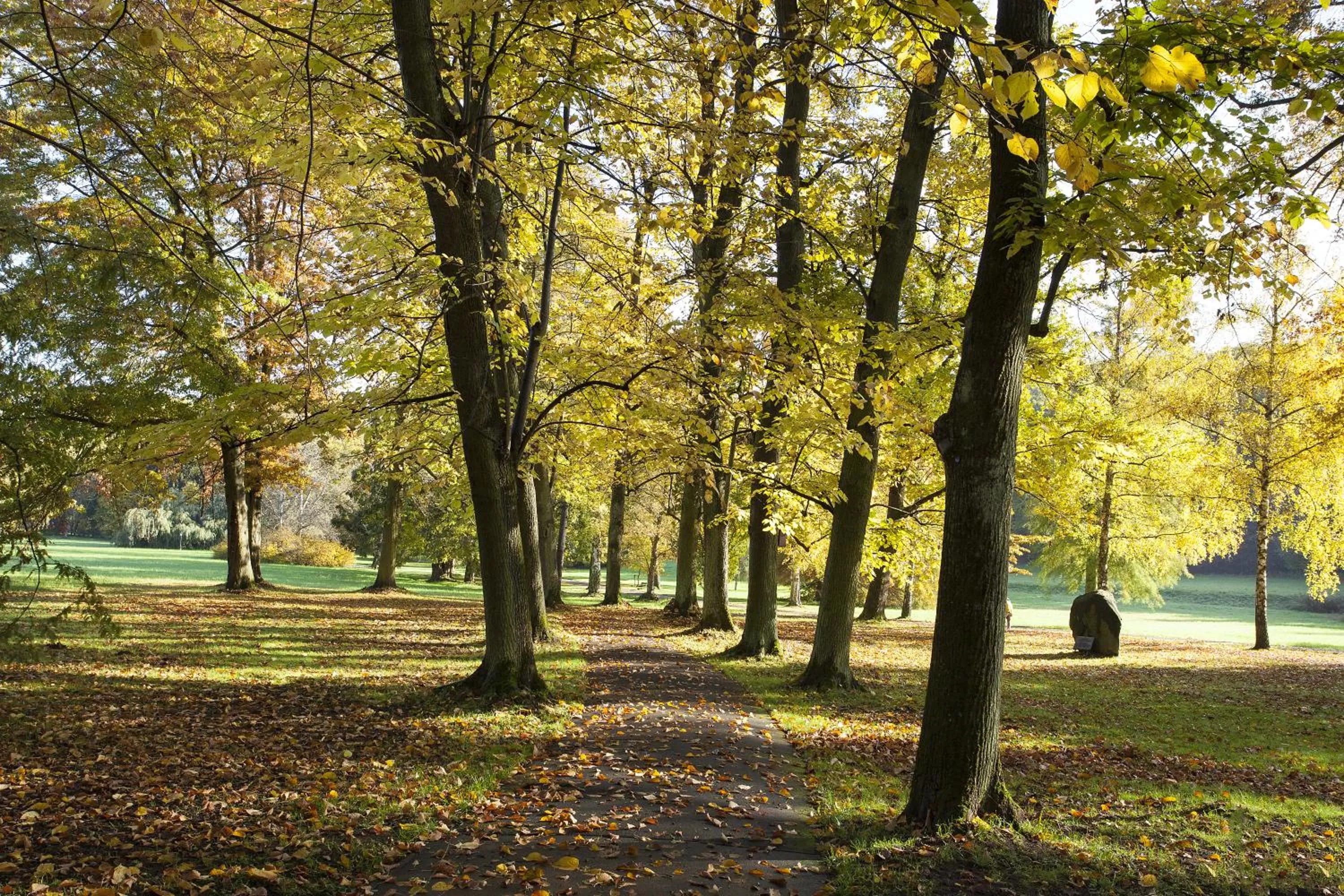 Off site in Kurhaushotel Bad Salzhausen