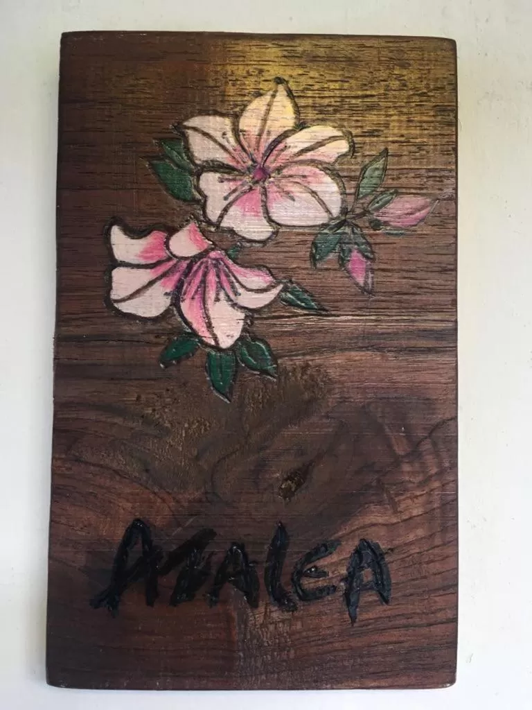 Property Logo/Sign in Casa Hotel El Compadre