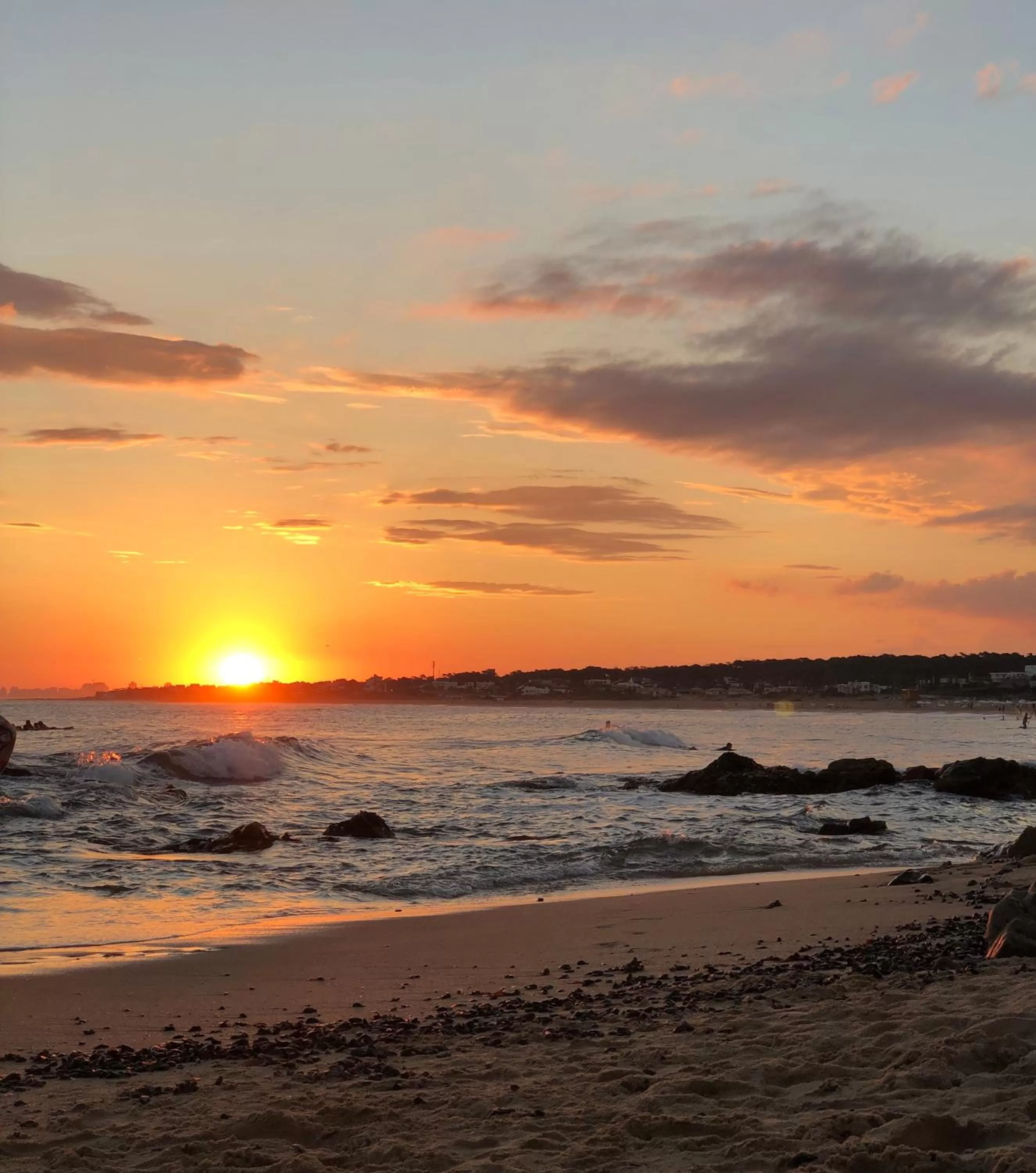 Natural landscape in Hotel Las Olas Resort