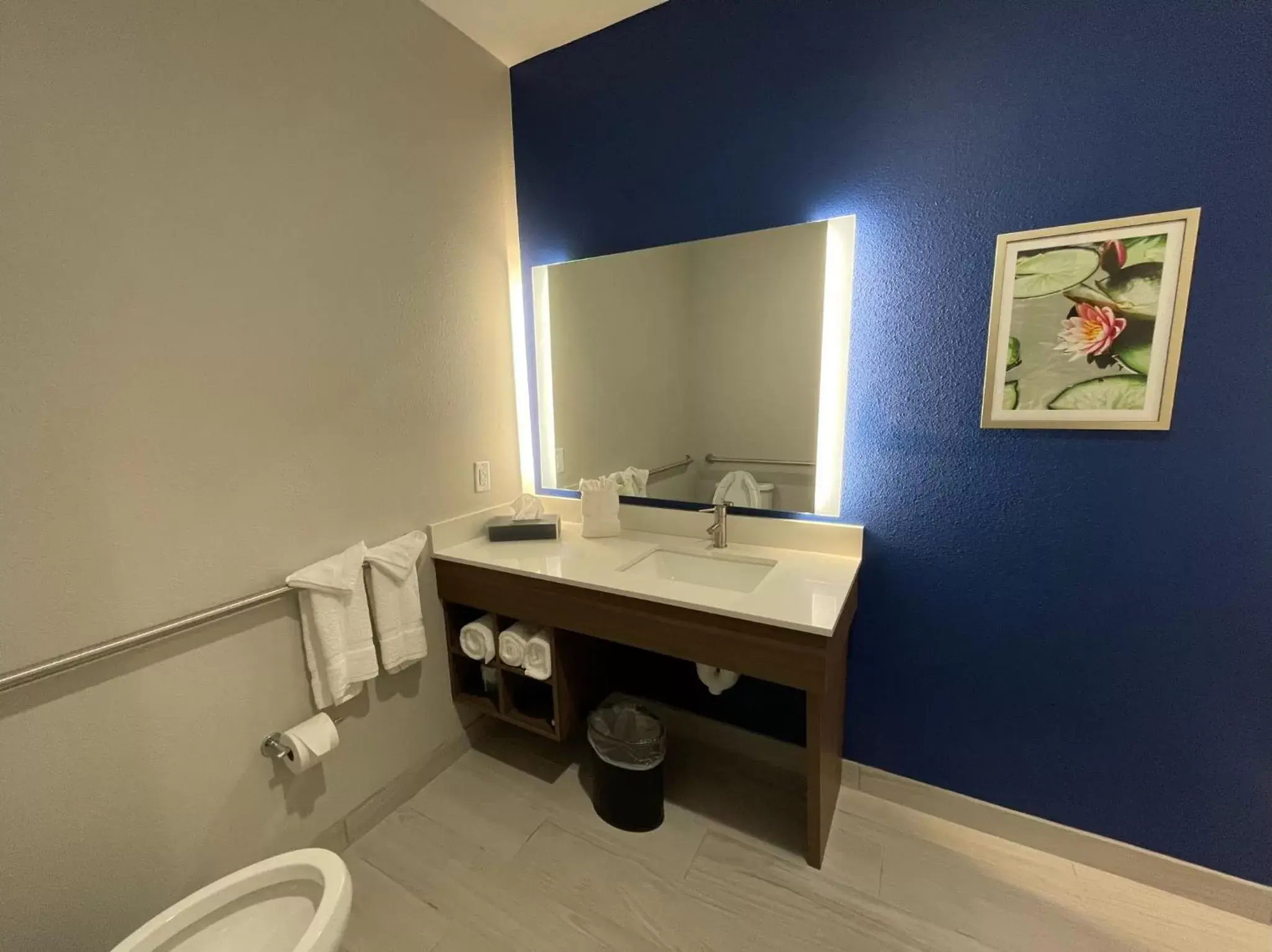 King Room with Mobility/Hearing Access and Roll-In Shower - Non-Smoking in La Quinta Inn & Suites by Wyndham Valdosta King Room with Mobility/Hearing Access and Roll-In Shower - Non-Smoking in La Quinta Inn & Suites by Wyndham Valdosta