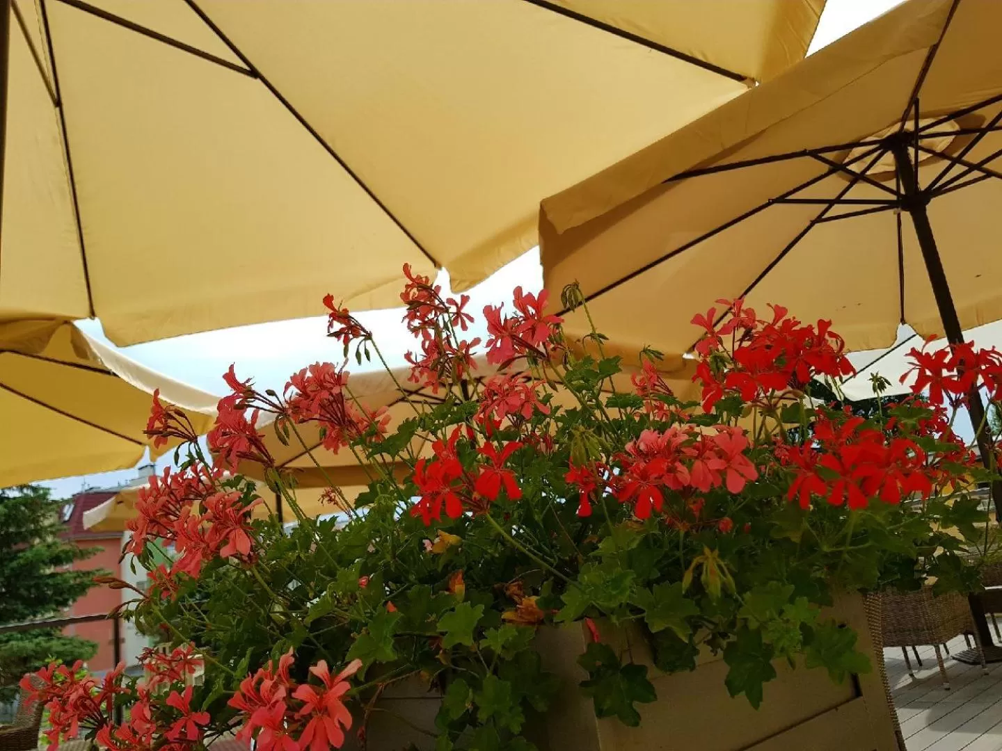 Garden in Zajazd Karczma Zagłoba