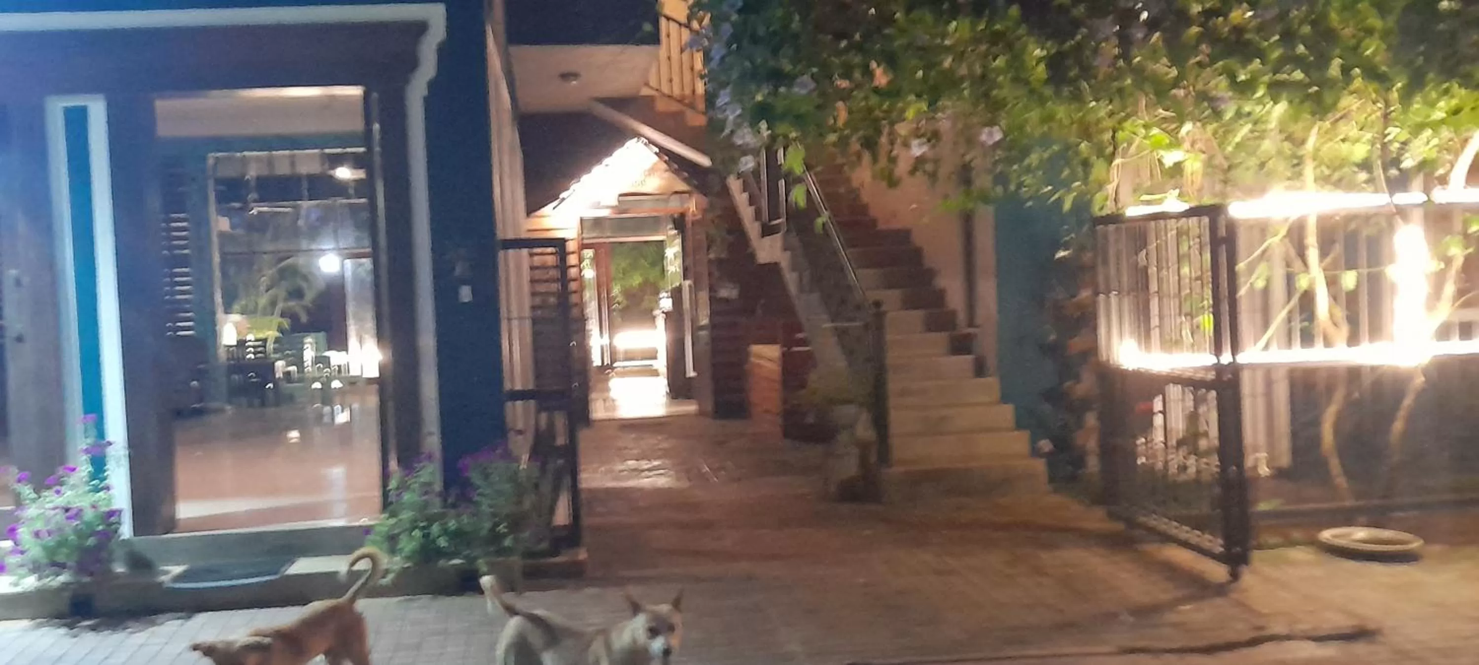 Property building in Summer Side