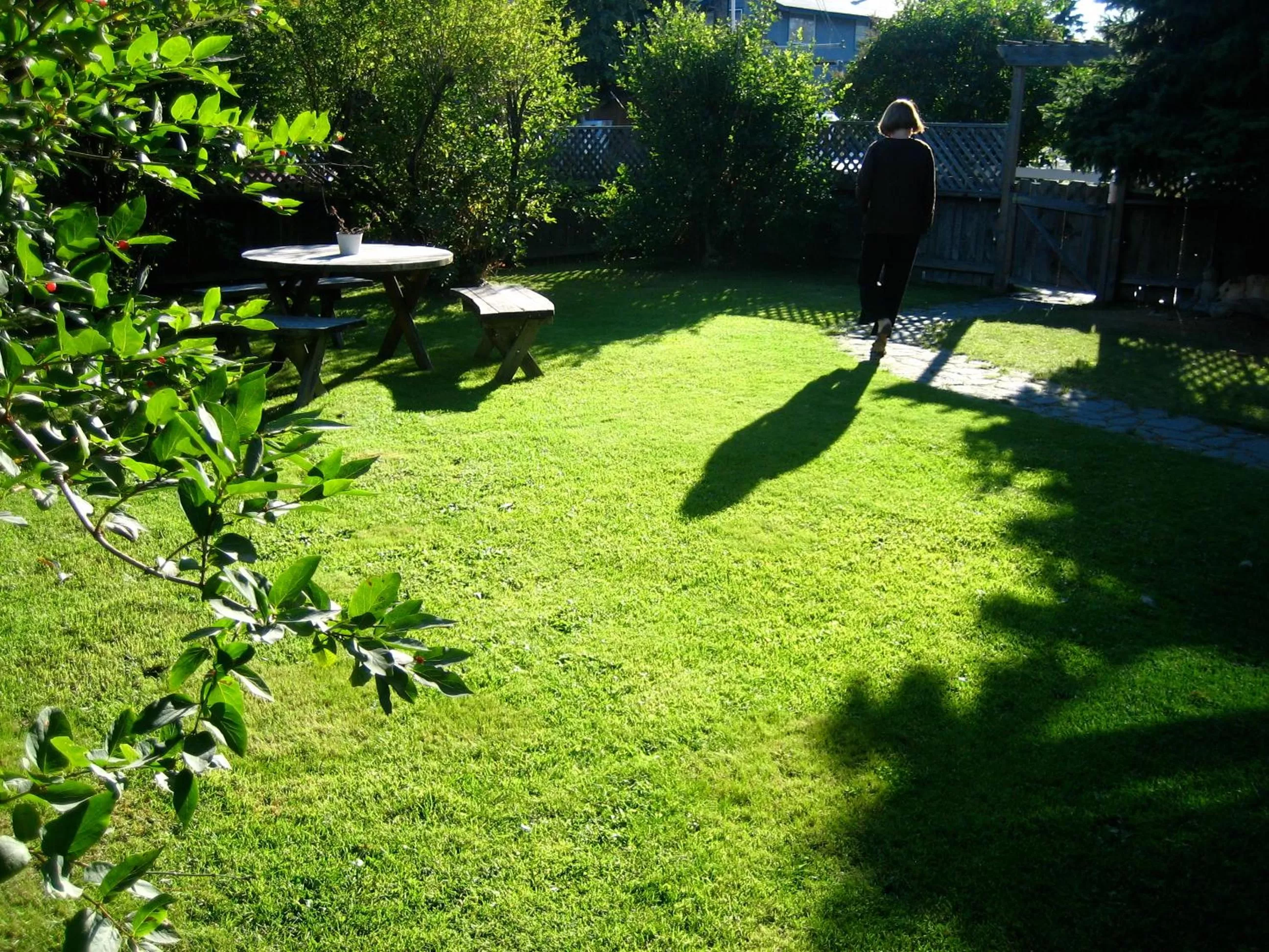 Garden in Gardenside Bed and Breakfast