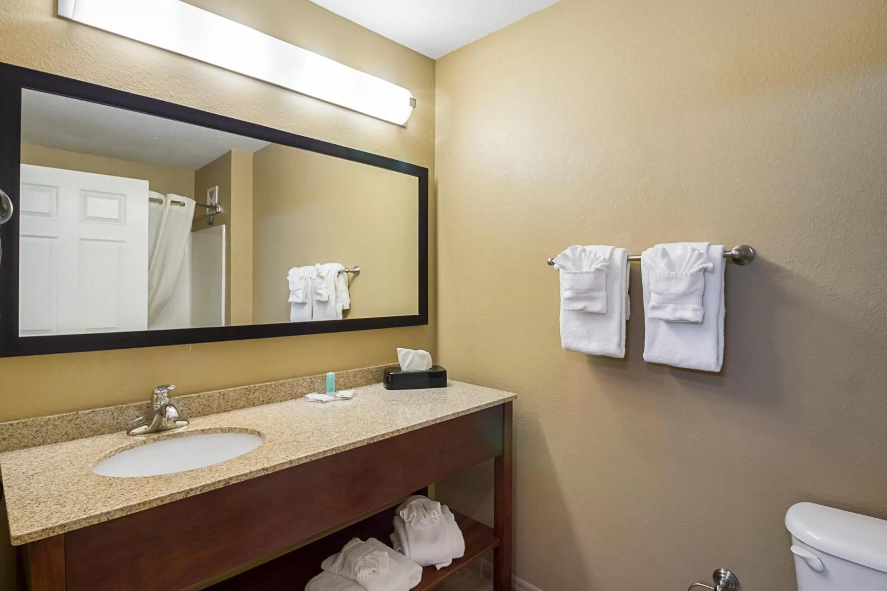 Bathroom in MainStay Suites Fargo - I-94 Medical Center