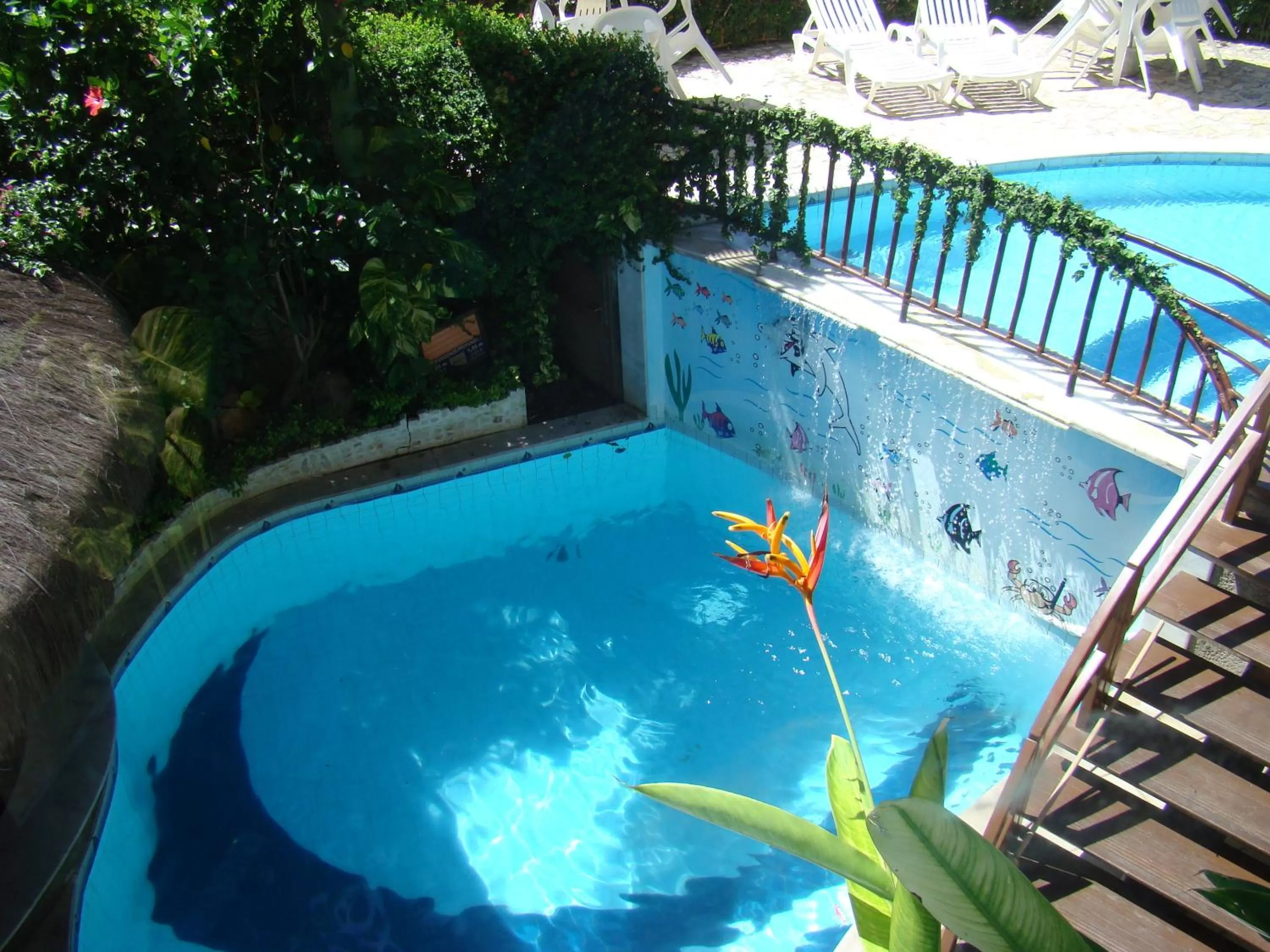 Swimming pool in Divi-Divi Praia Hotel