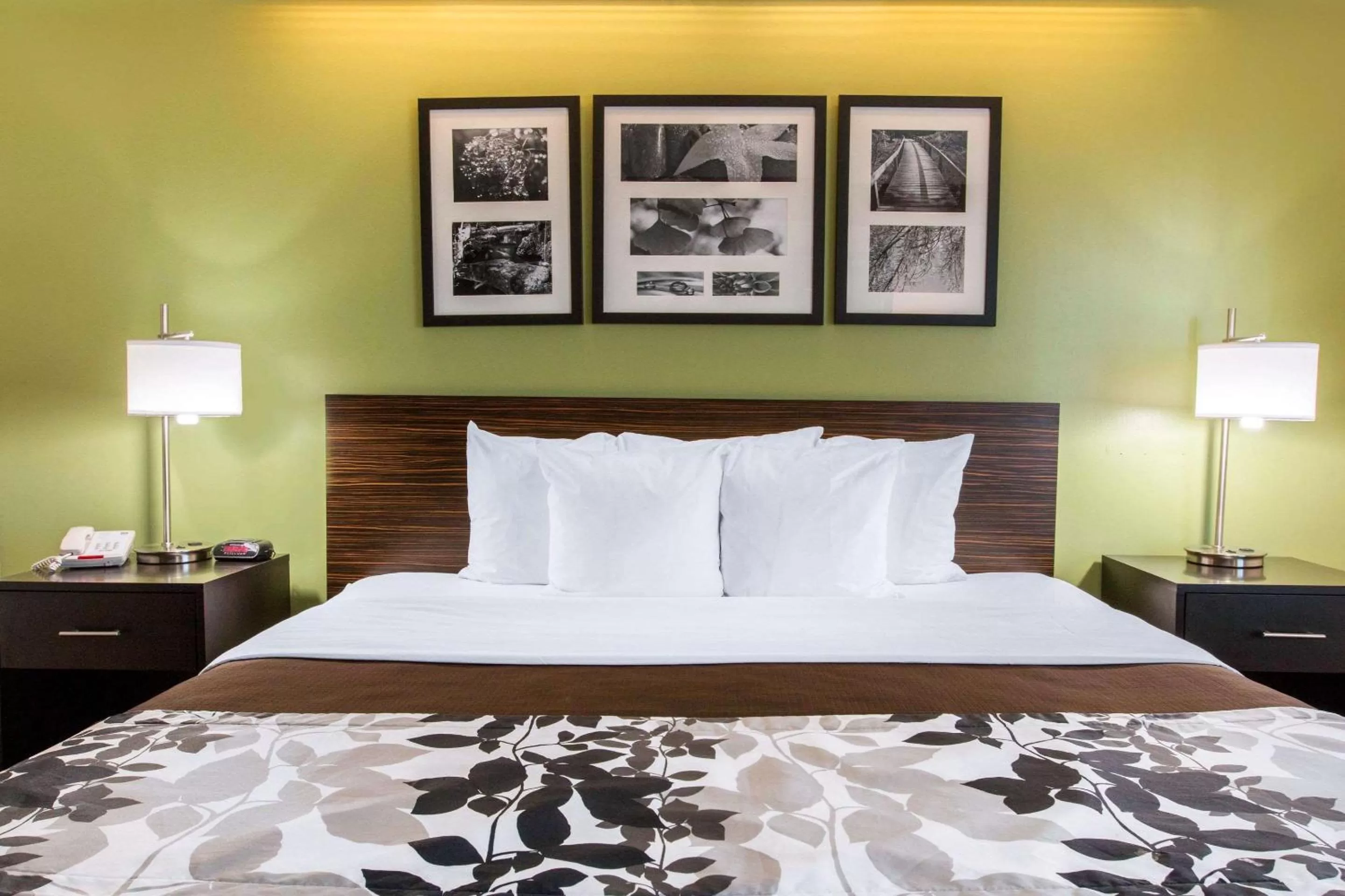 Photo of the whole room, Bed in Sleep Inn & Suites Oregon - Toledo