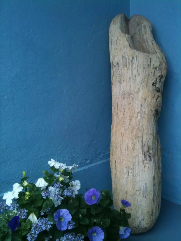 Garden in Lyonesse Guest House