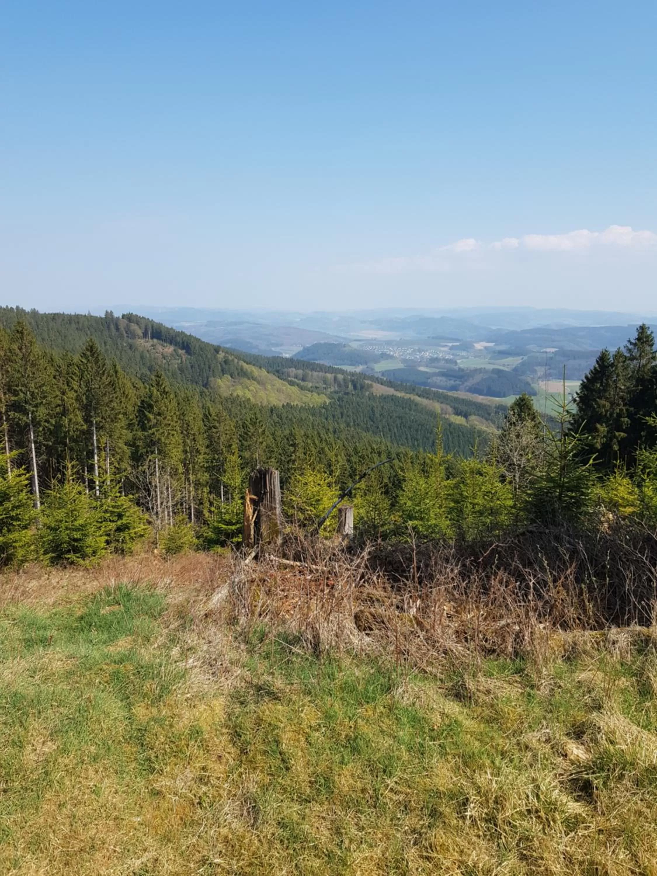 Hotel "Woiler Hof" garni