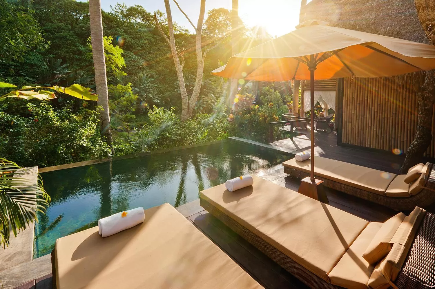 Day in Fivelements Retreat Bali, Ubud