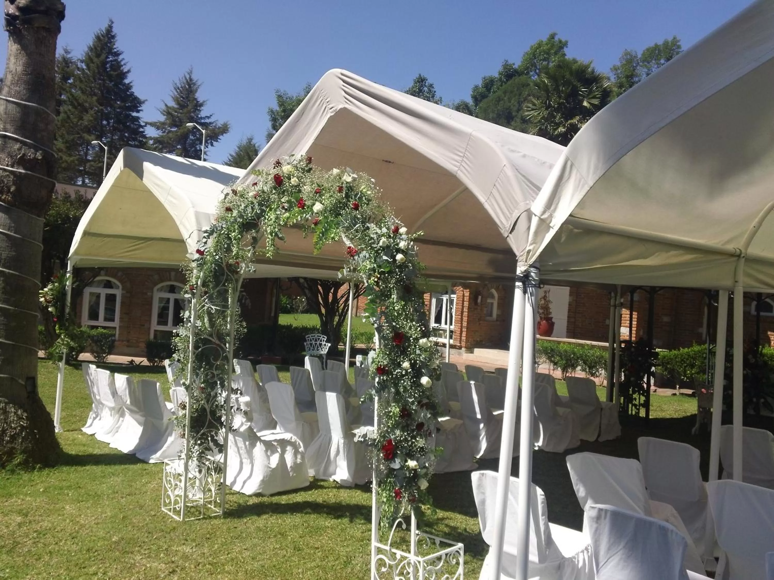 Garden in Hotel Villa Monarca Inn