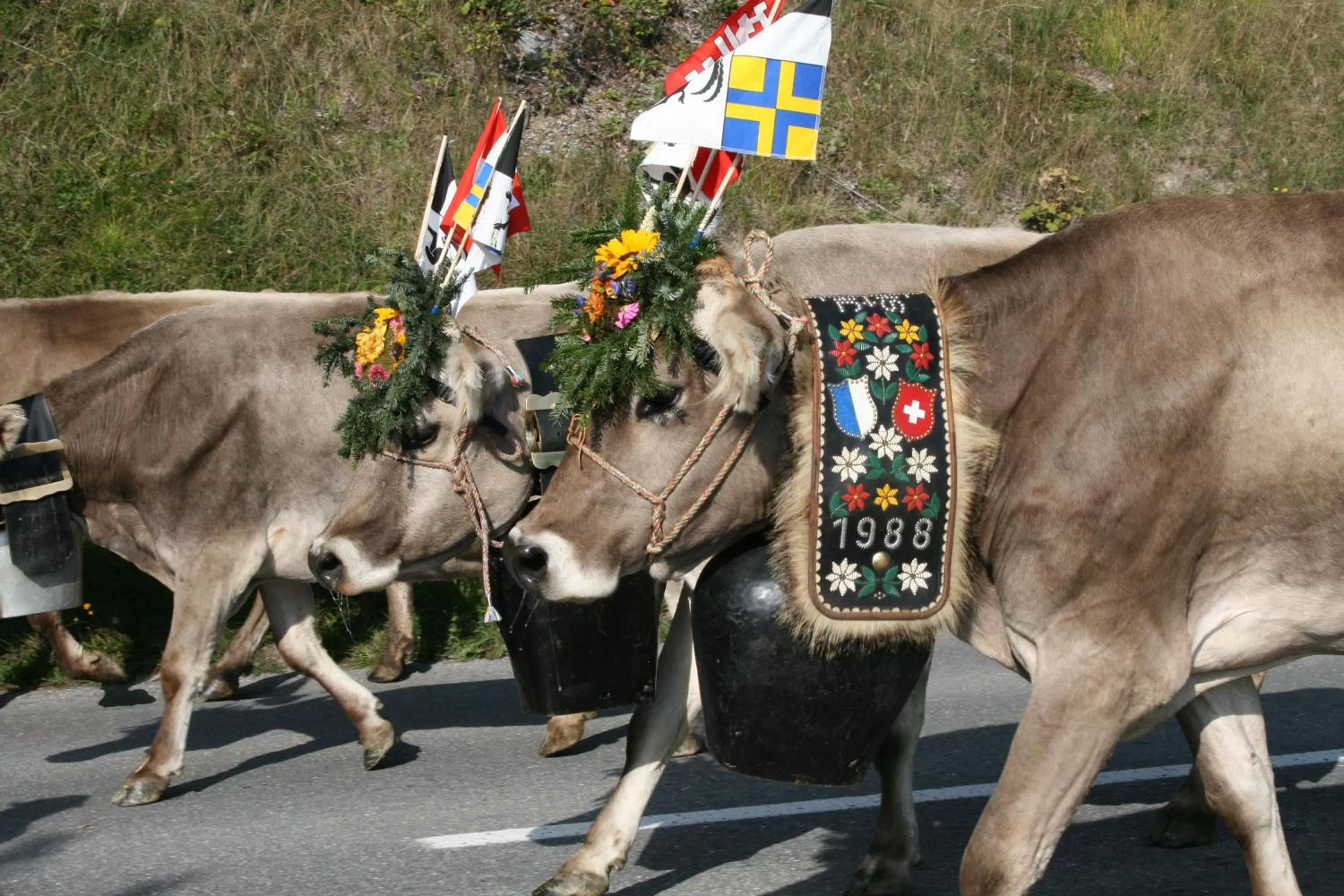 Other in T3 Hotel Mira Val