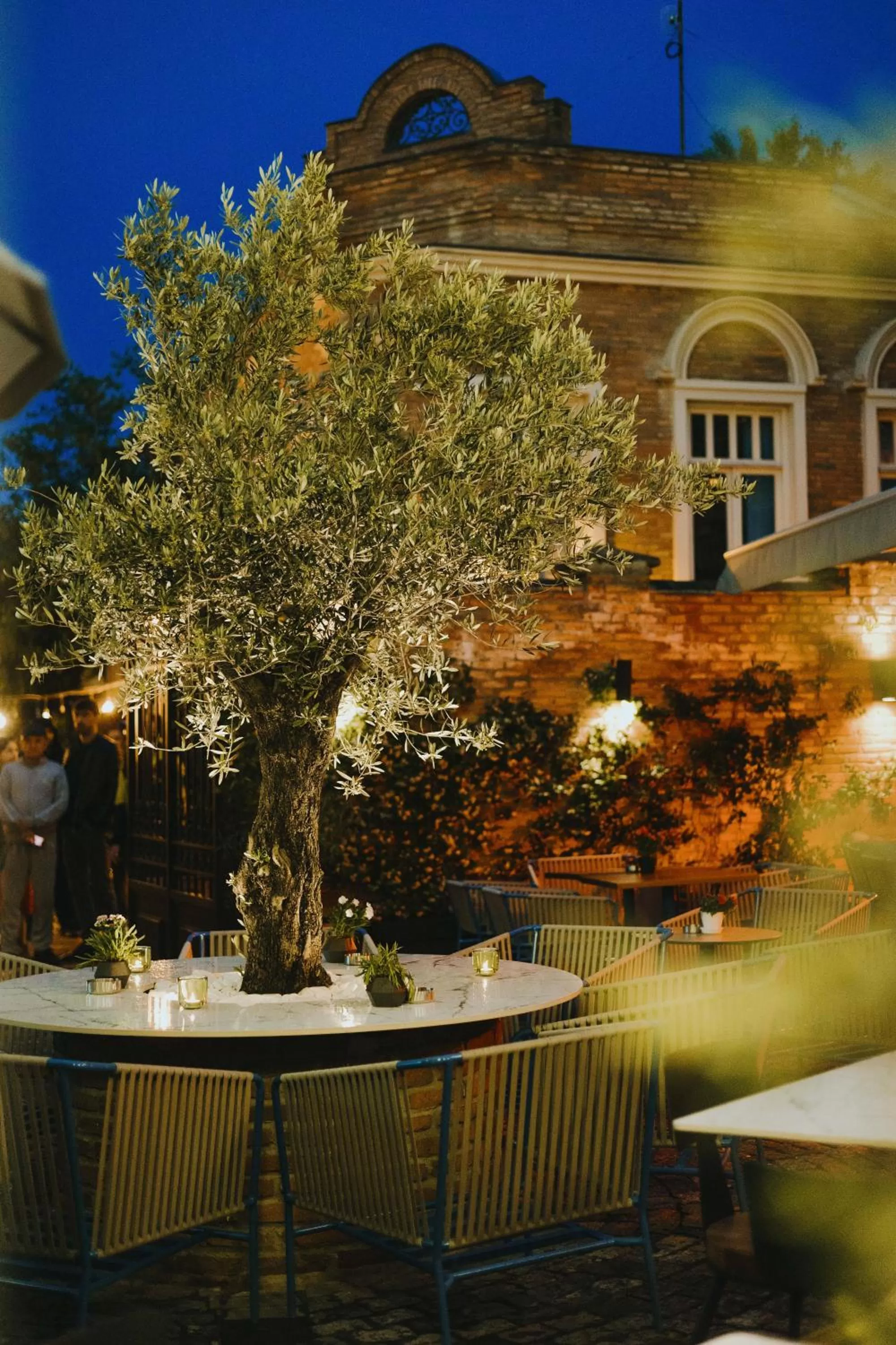 Night in The Blue Fox Hotel