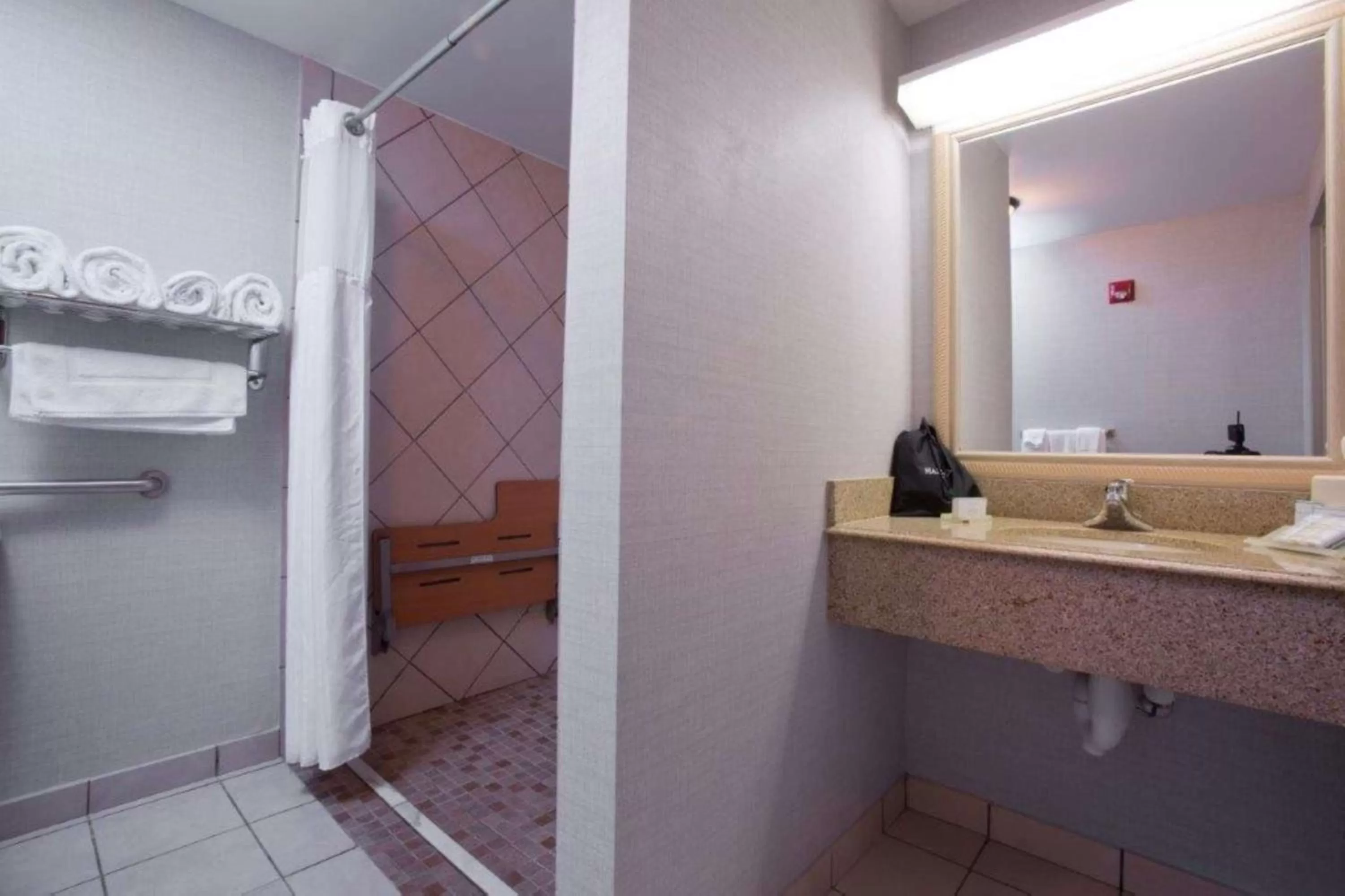 Bathroom in Hilton Garden Inn Starkville