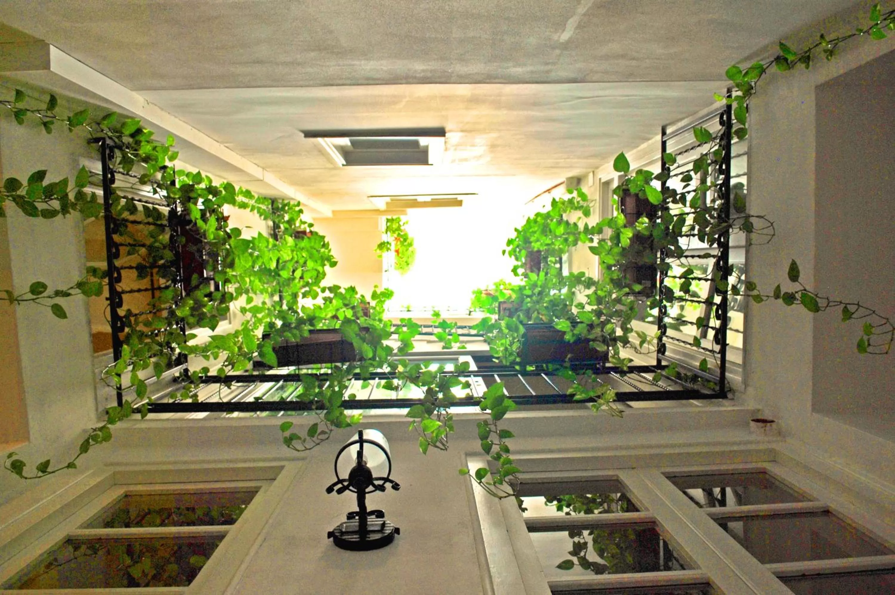 Decorative detail in Ai Tintori