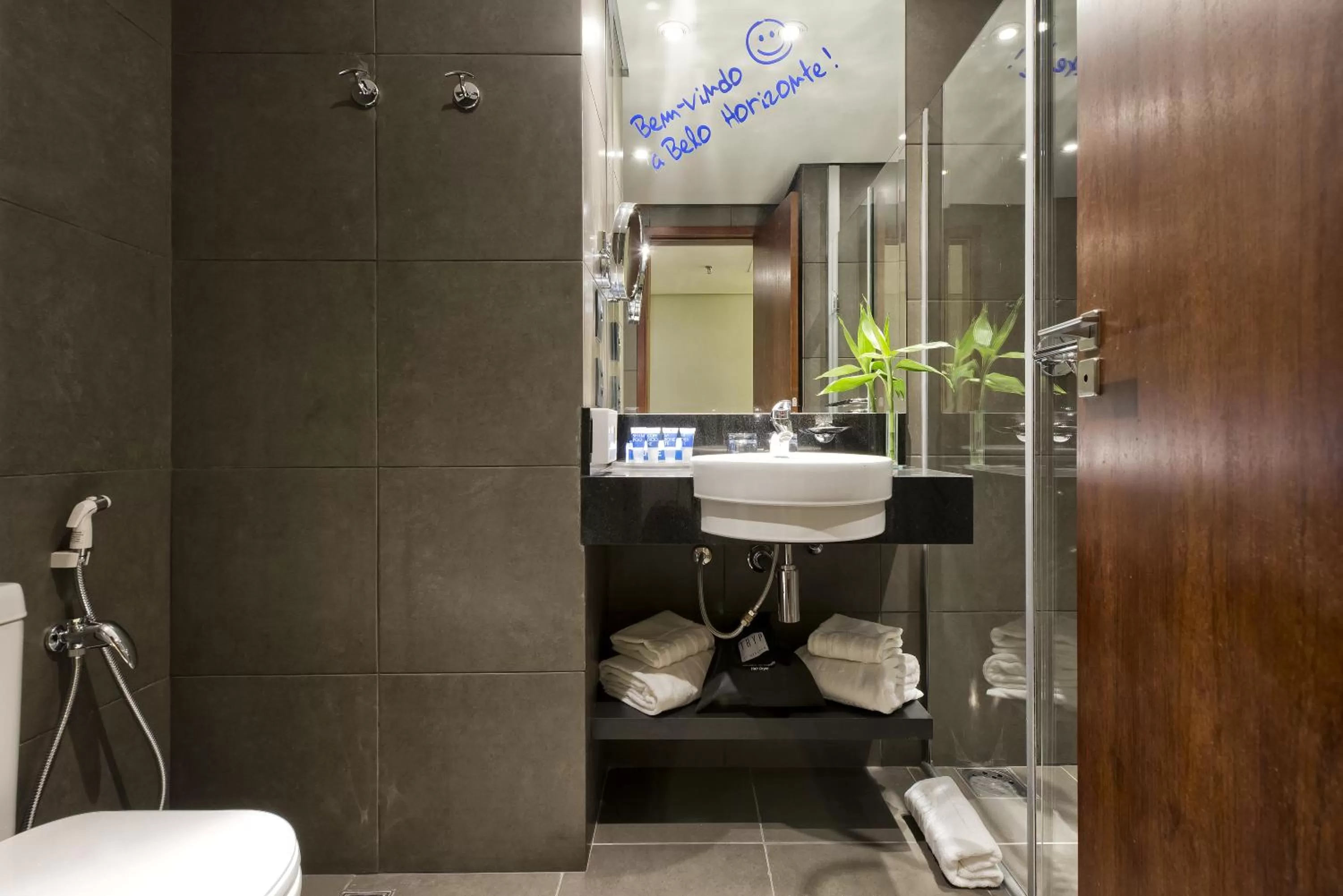 Toilet in Hotel Gran Vivenzo Belo Horizonte