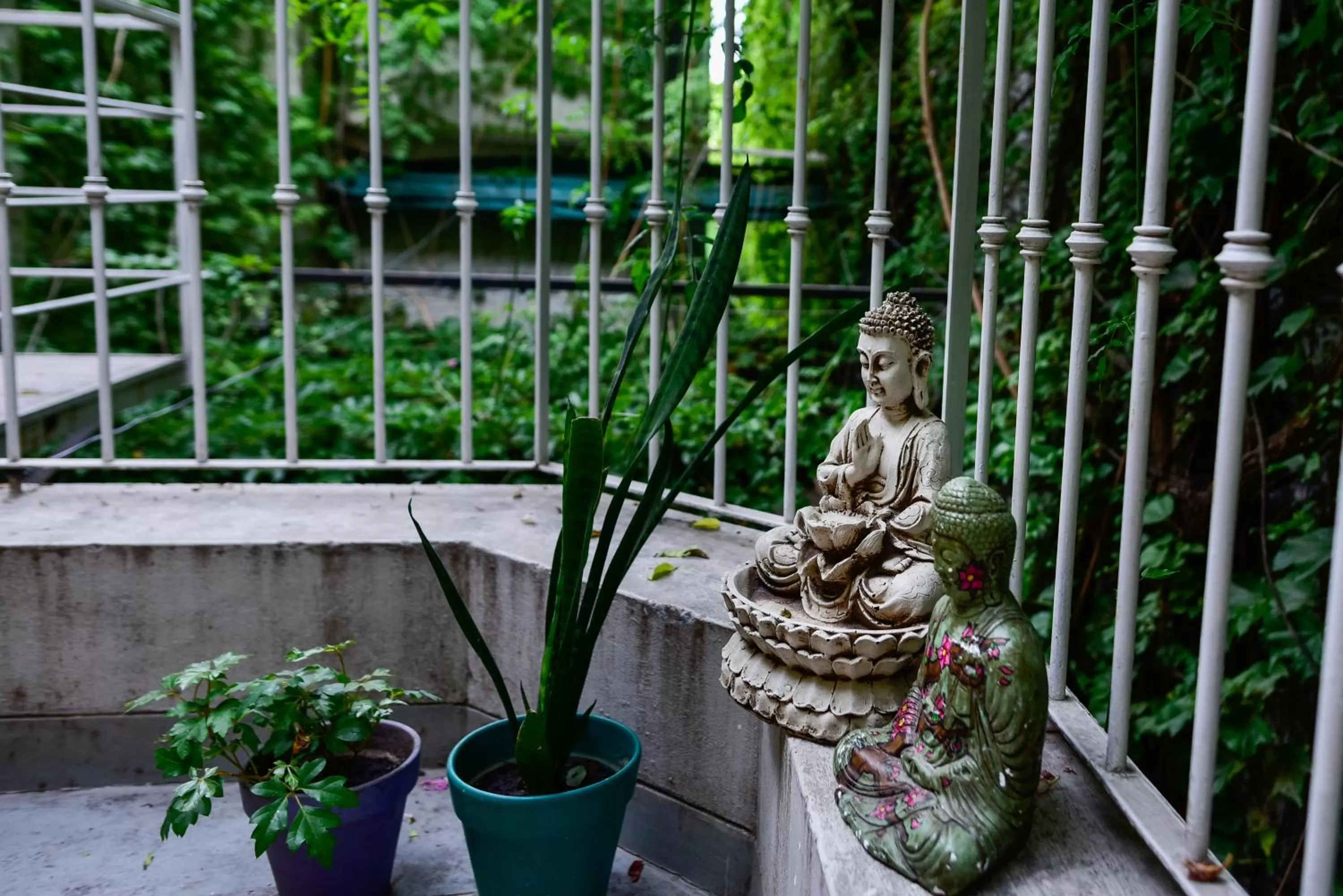 Balcony/Terrace in Casa Caravan - Plant Based Concept House