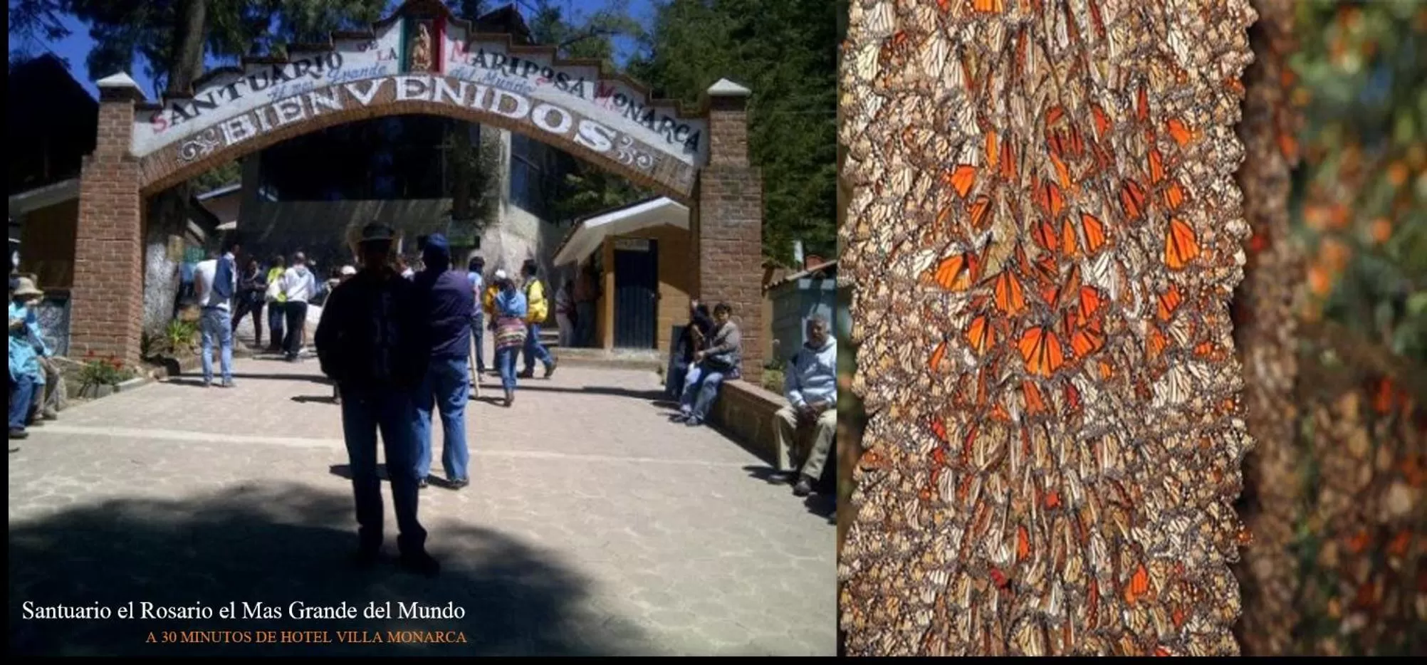 Other in Hotel Villa Monarca Inn