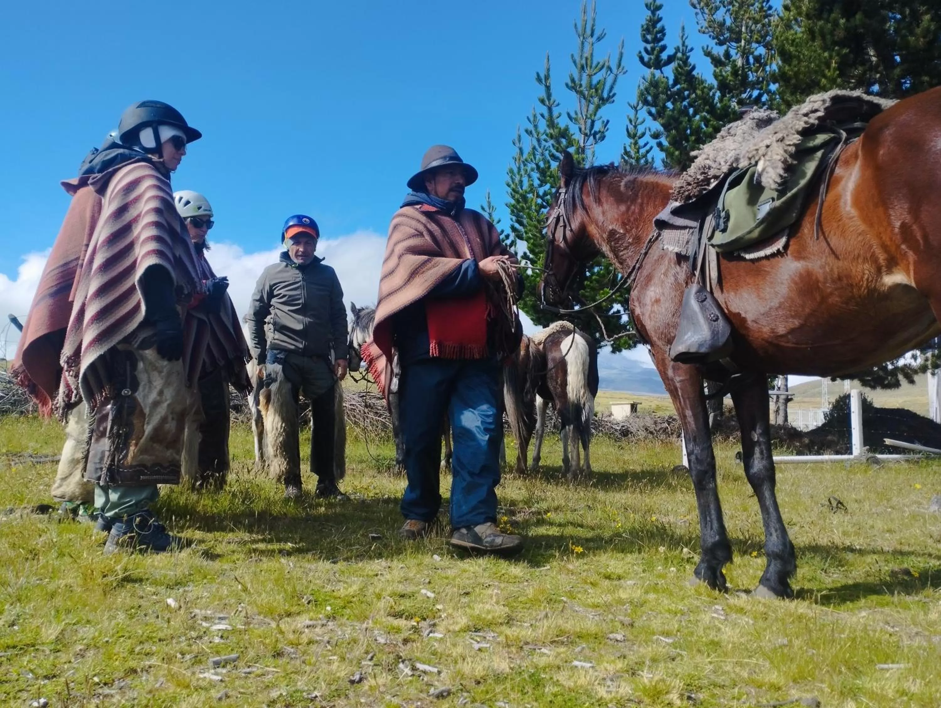 Activities in Ruta de los volcanes