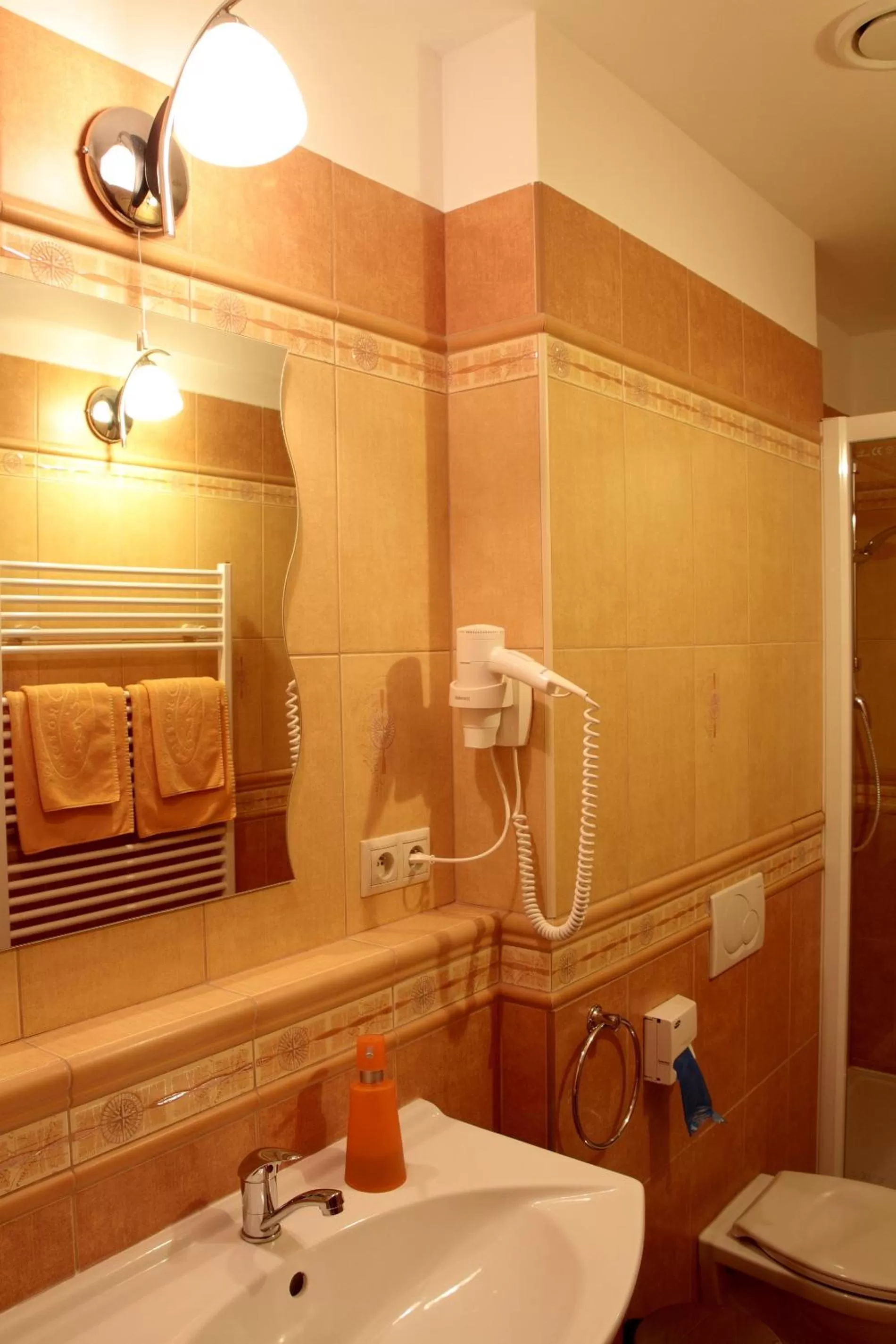 Bathroom in Hotel Lipa