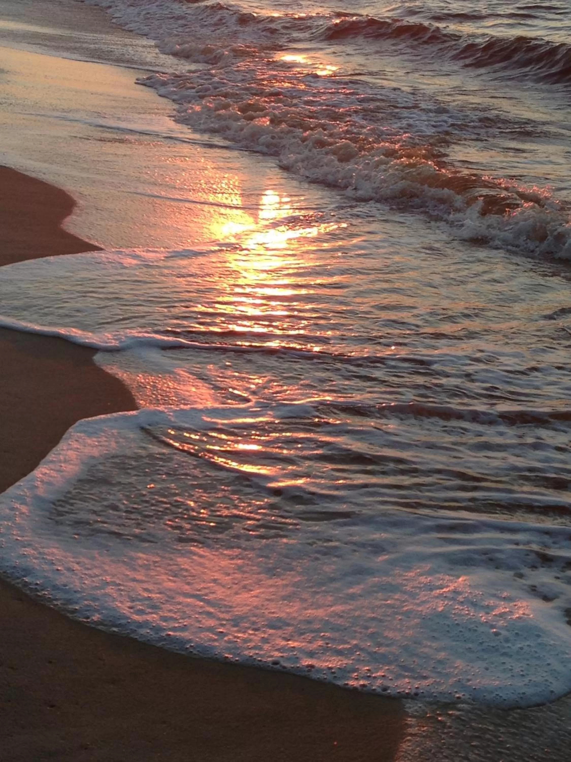 Natural landscape in Hôtel Restaurant Coco Lodge Majunga